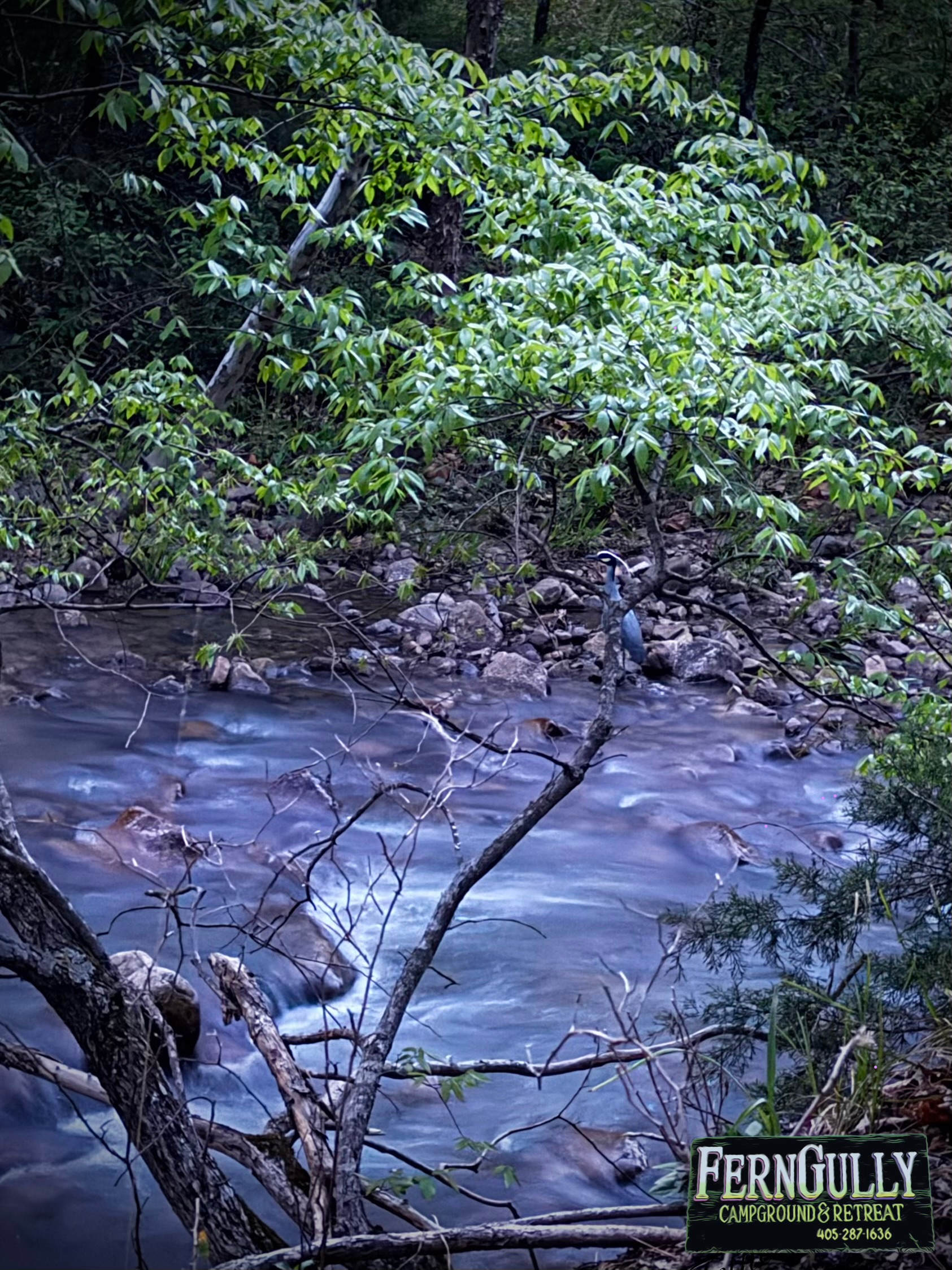 Ferngully Campground And Retreat