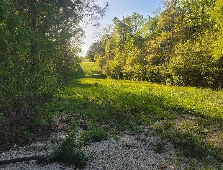 Out Beyond the Creek