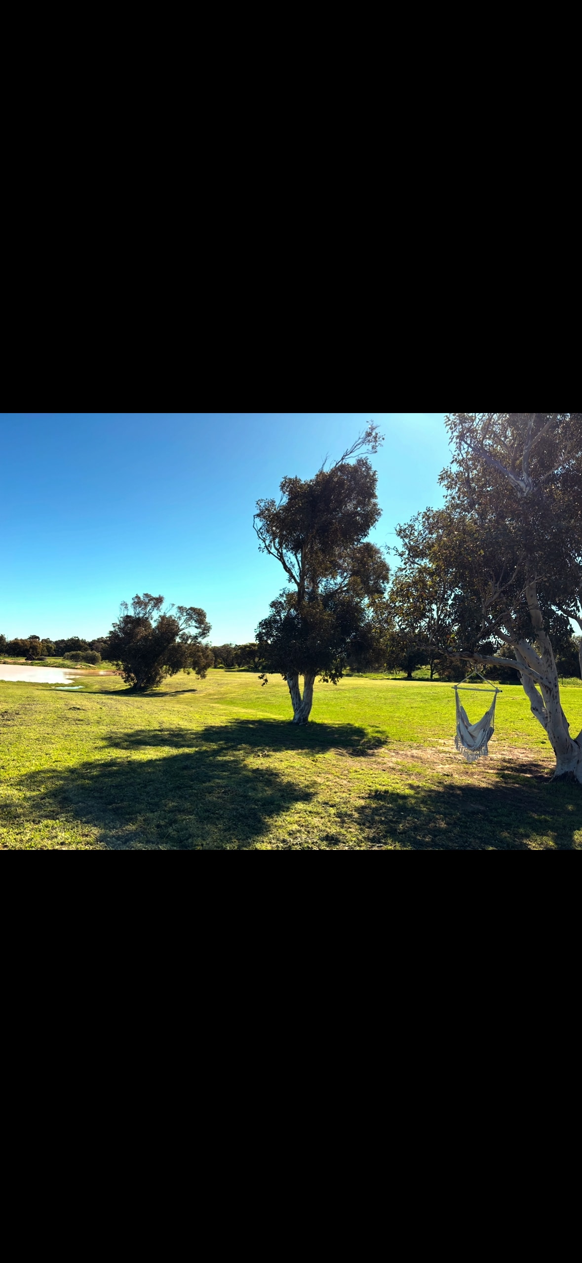Coronation Hillview