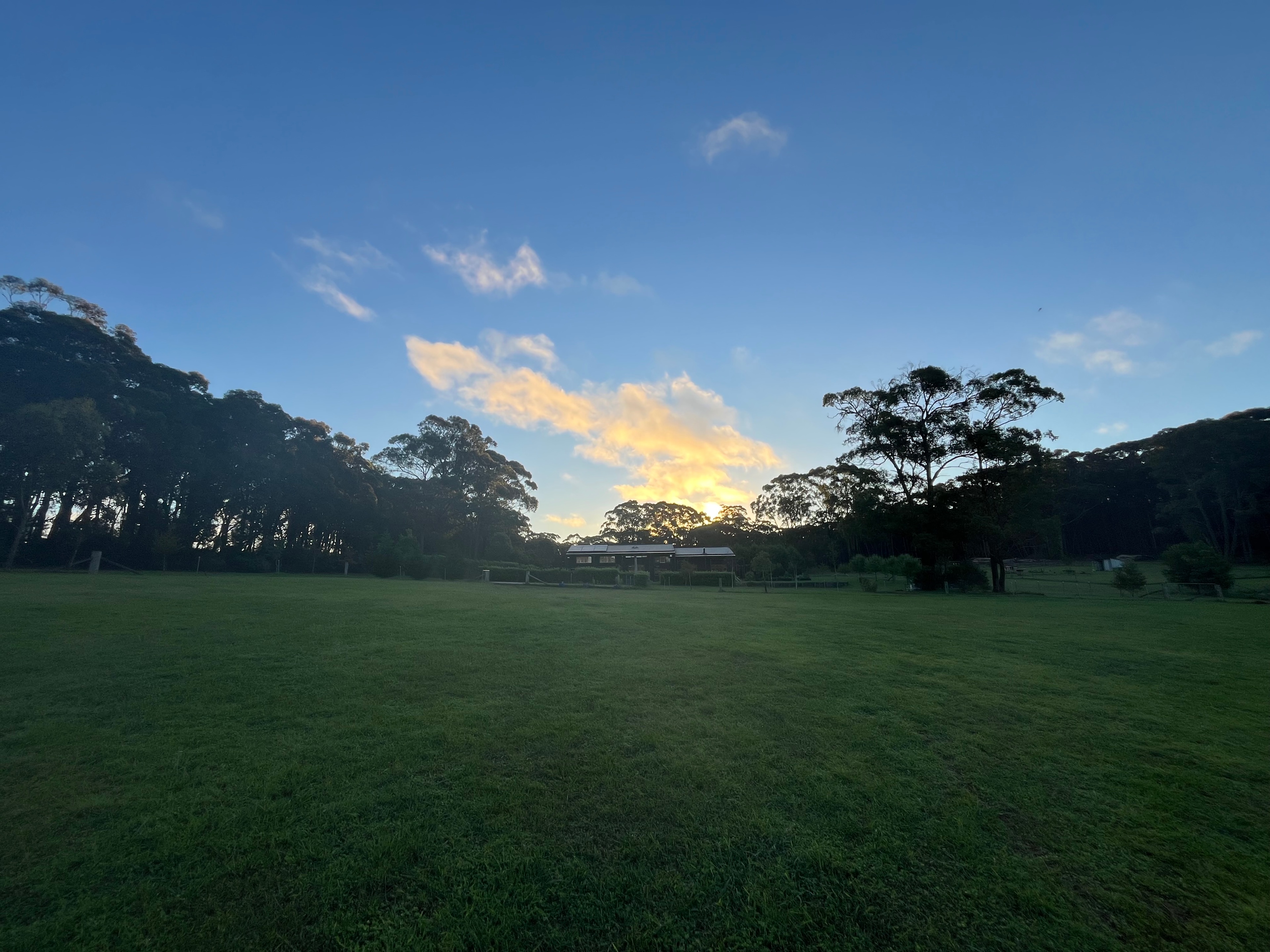 Plantation gully