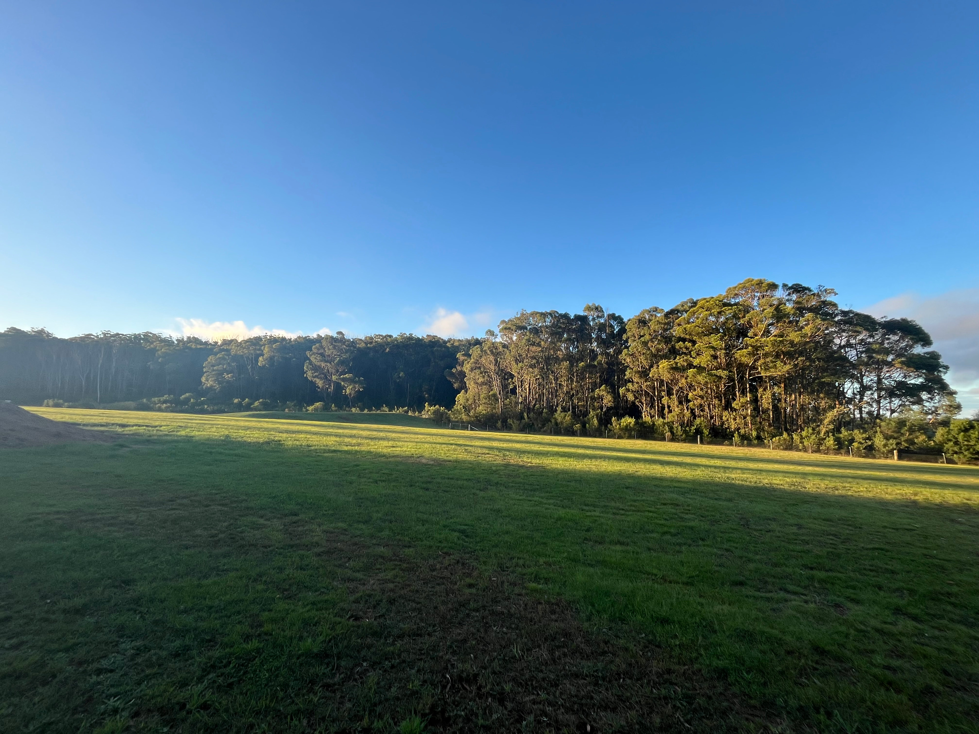 Plantation gully