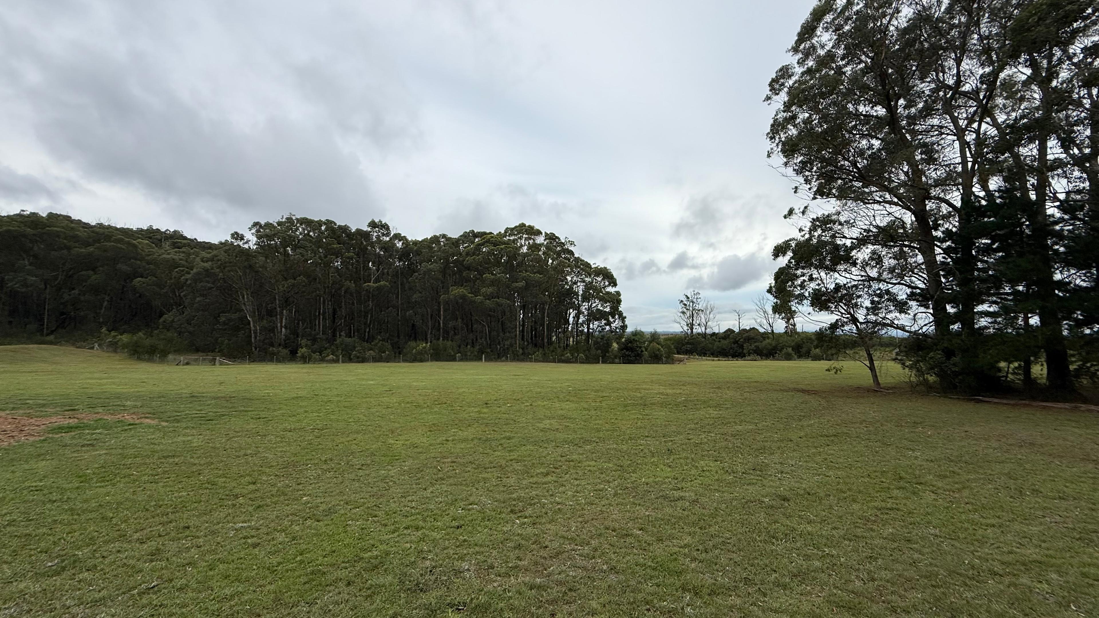 Plantation Gully