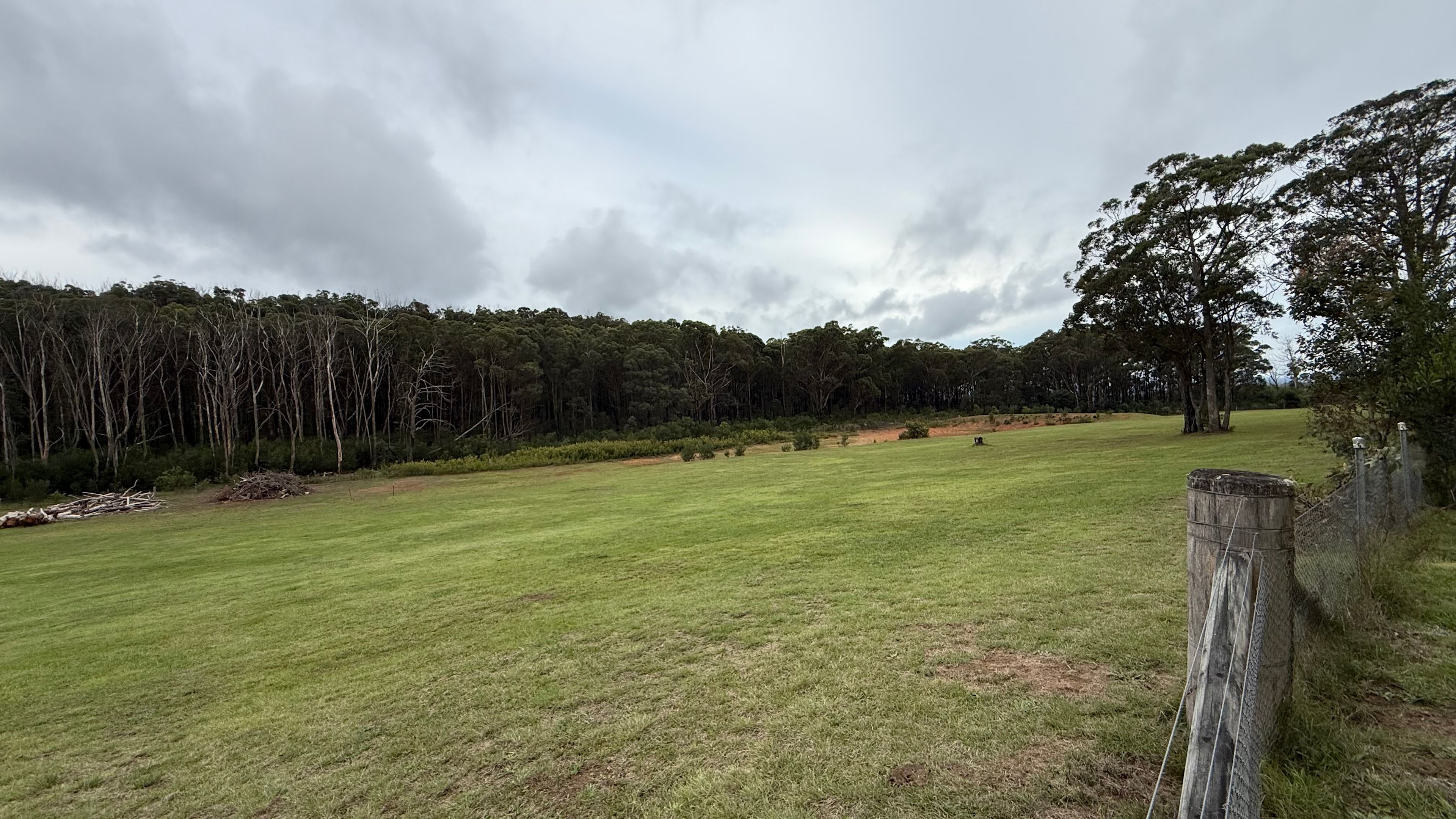 Plantation Gully
