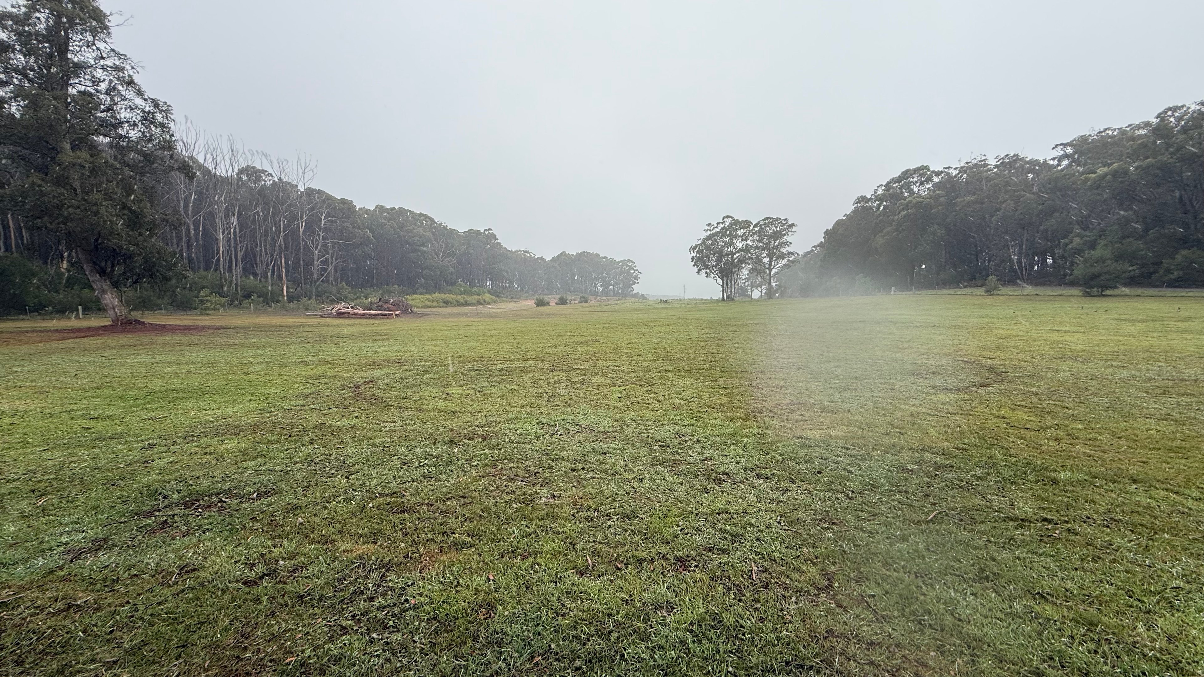 Plantation gully