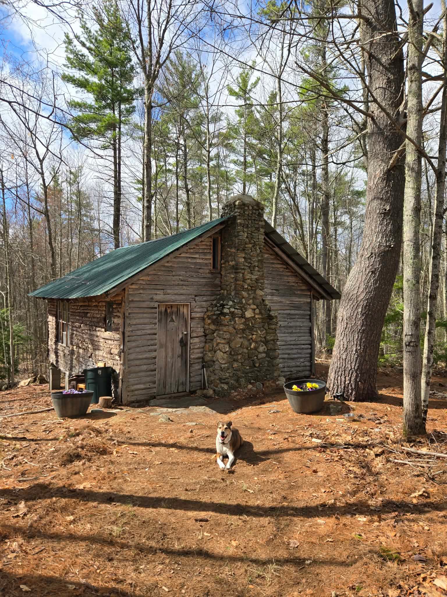 Wapack Trail Cabin