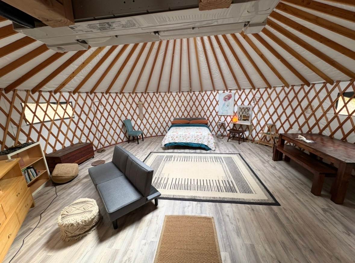 The Black Oak Forest