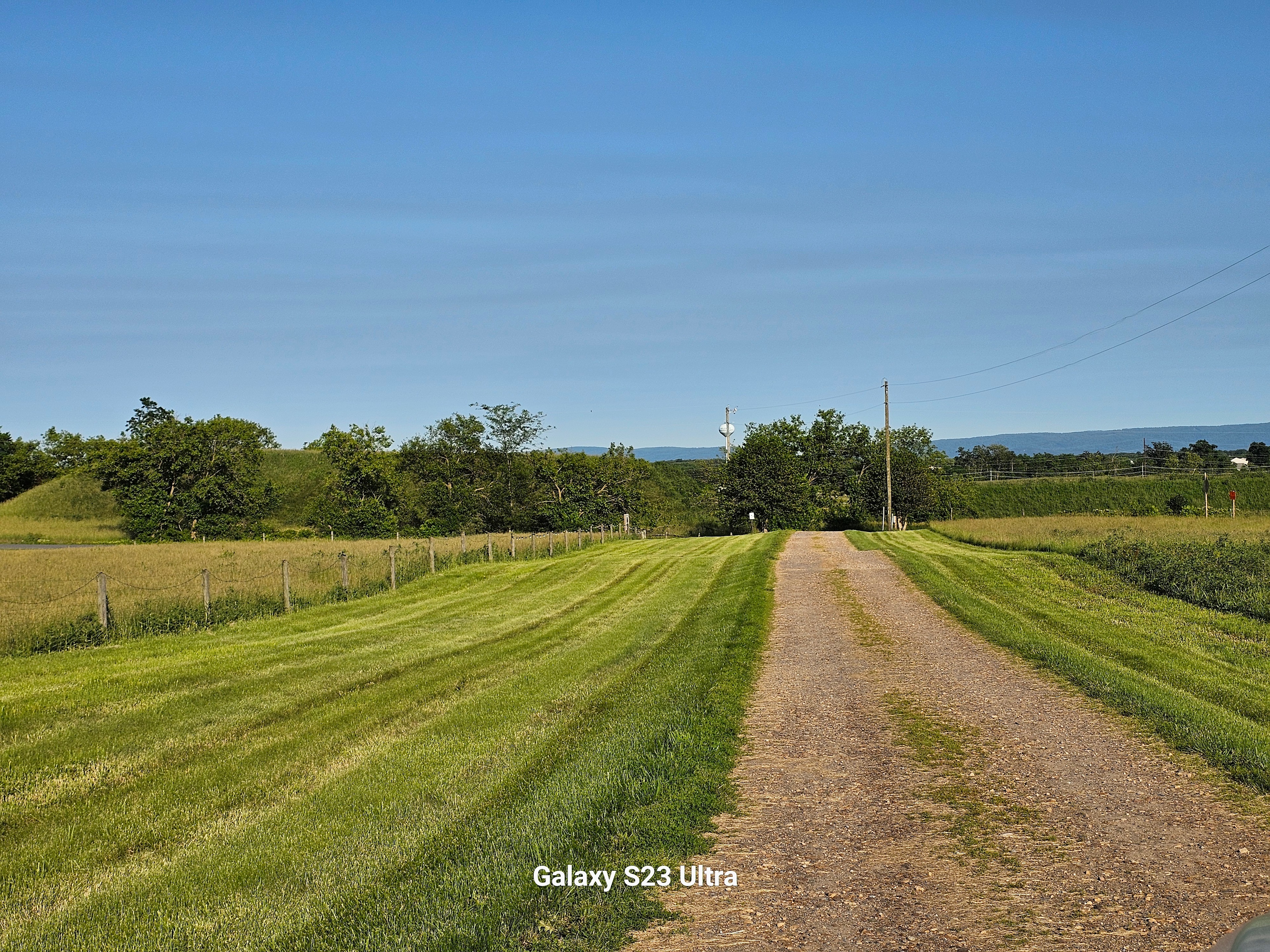 Shady Elm Farm