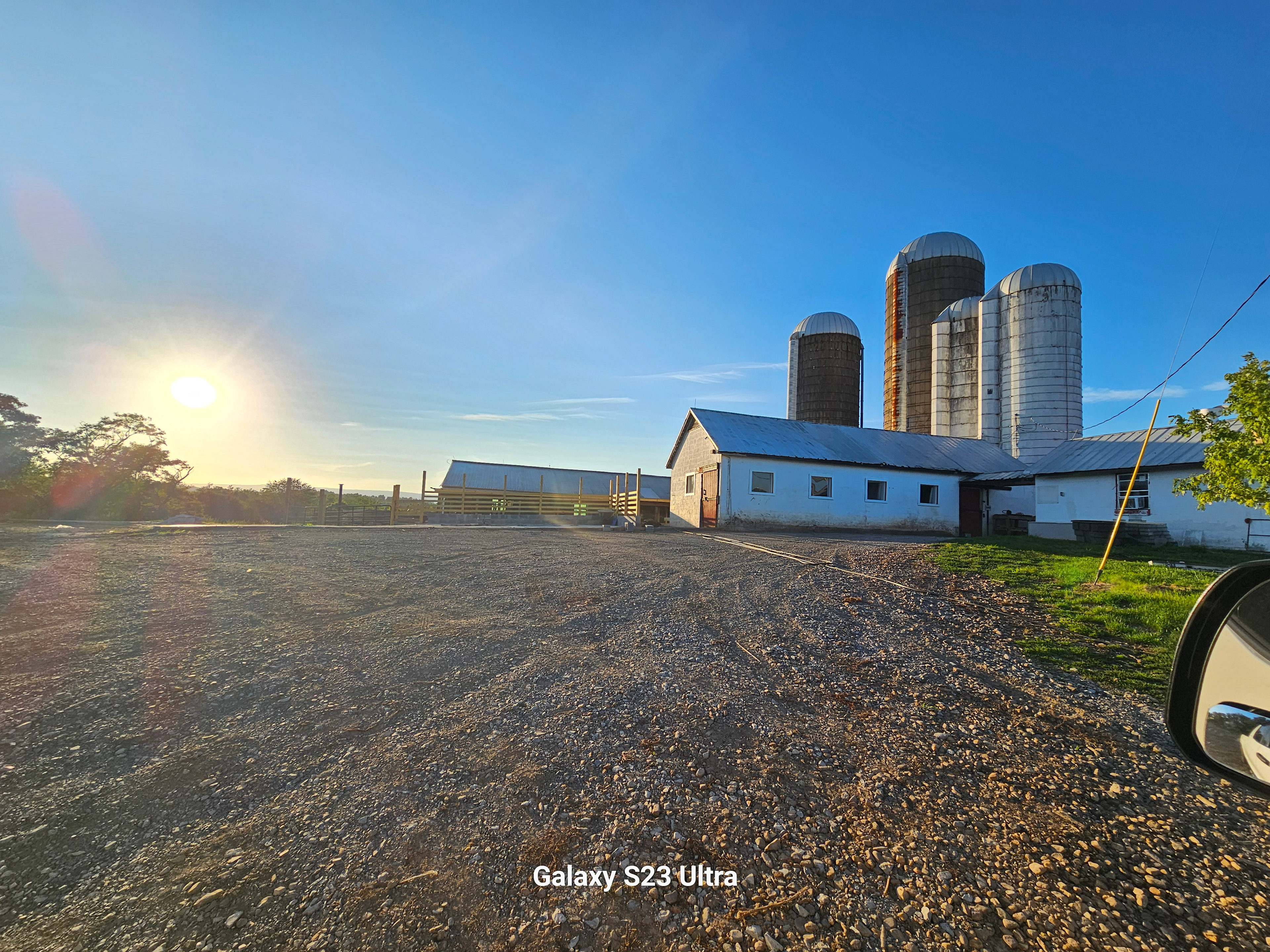 Shady Elm Farm