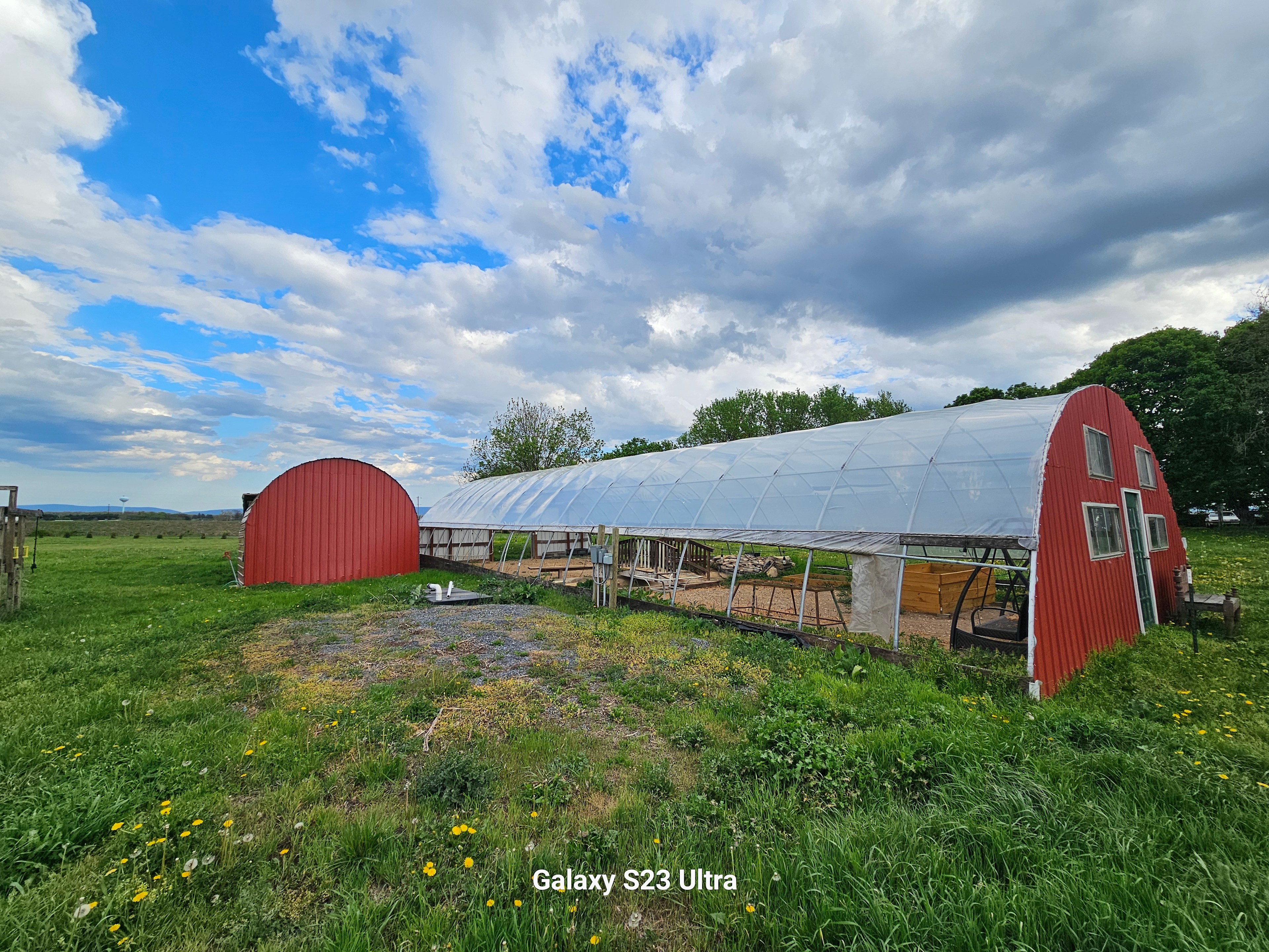 Shady Elm Farm