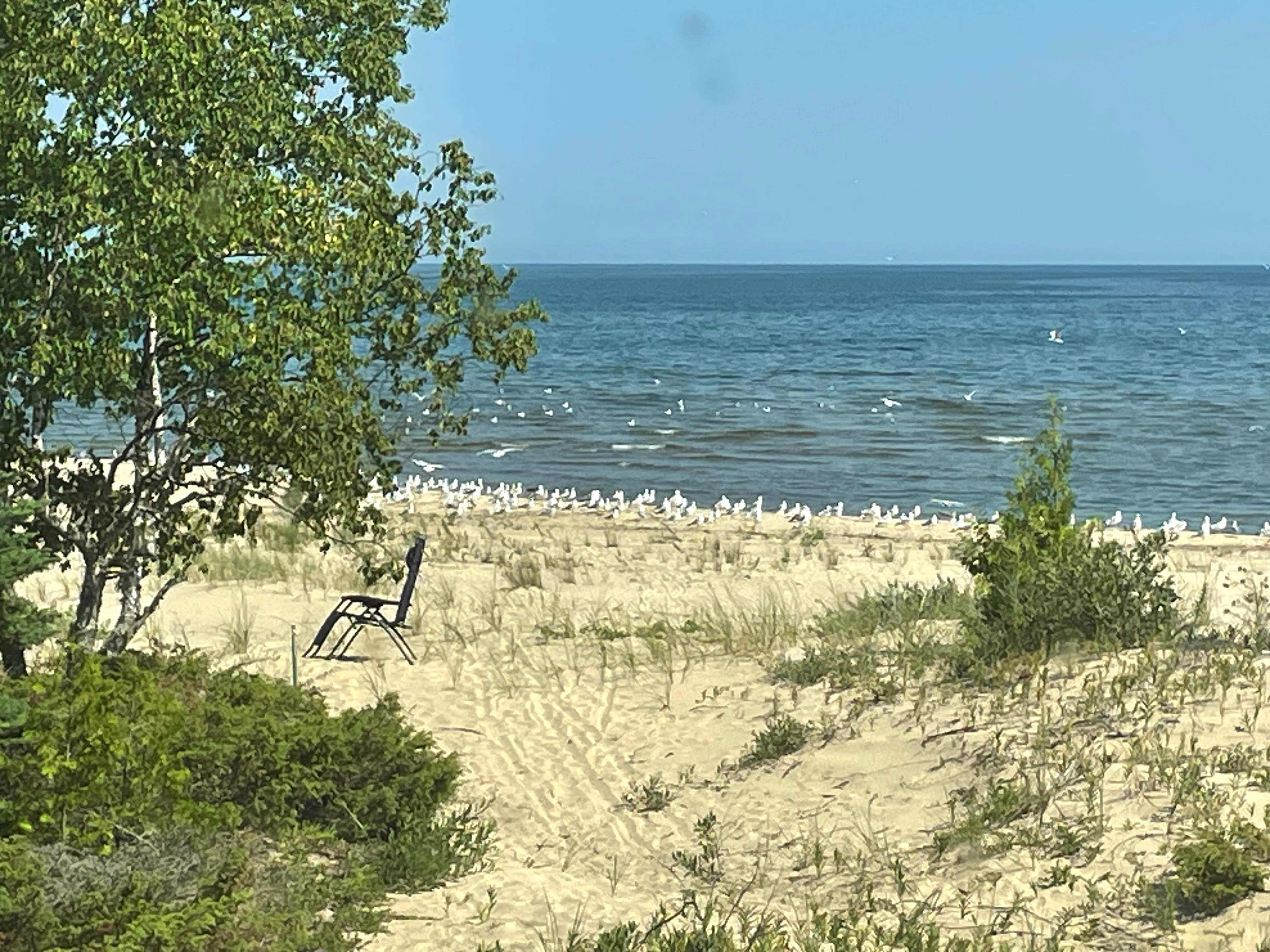Pinecone Beach