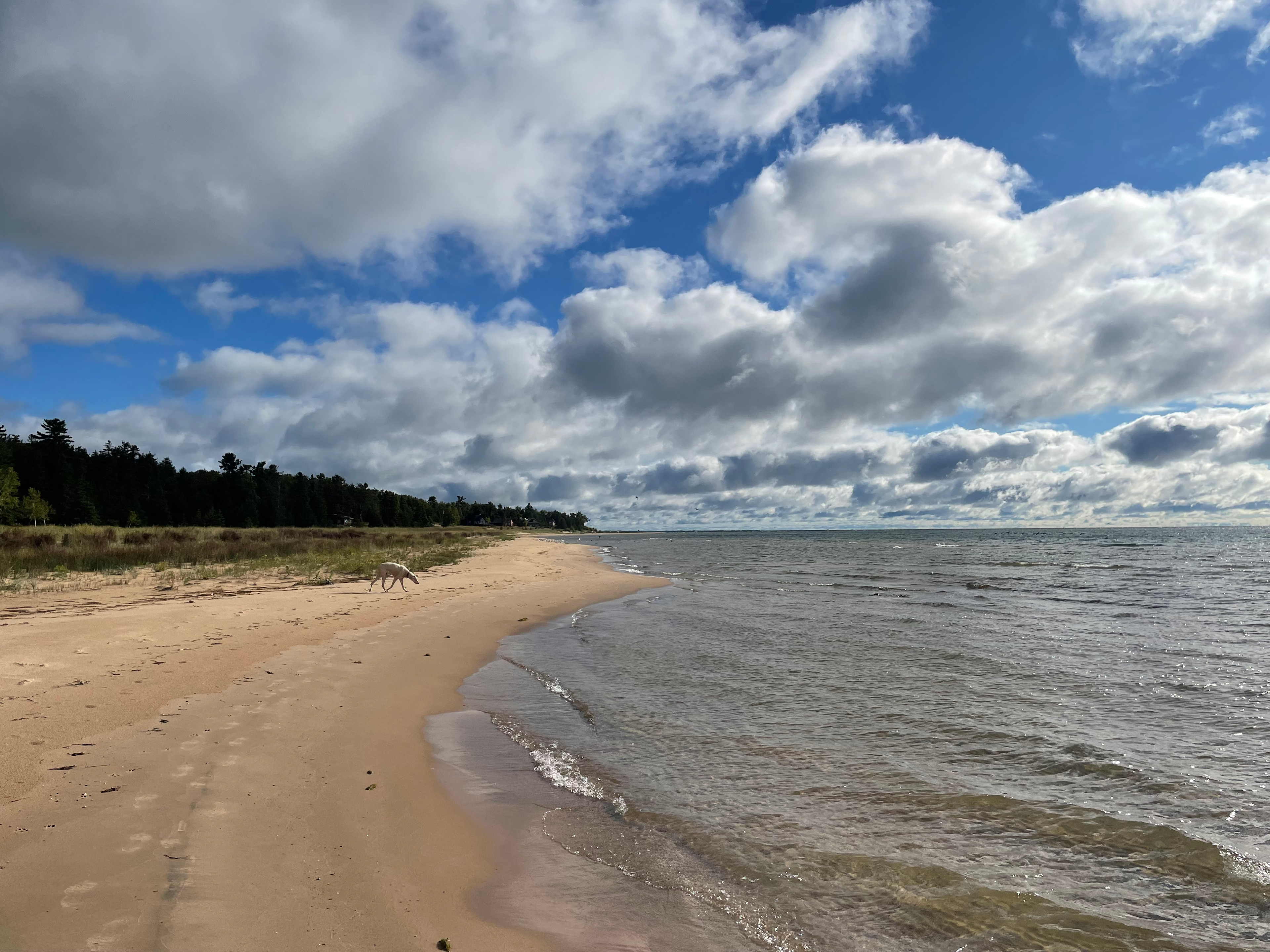 Pinecone Beach