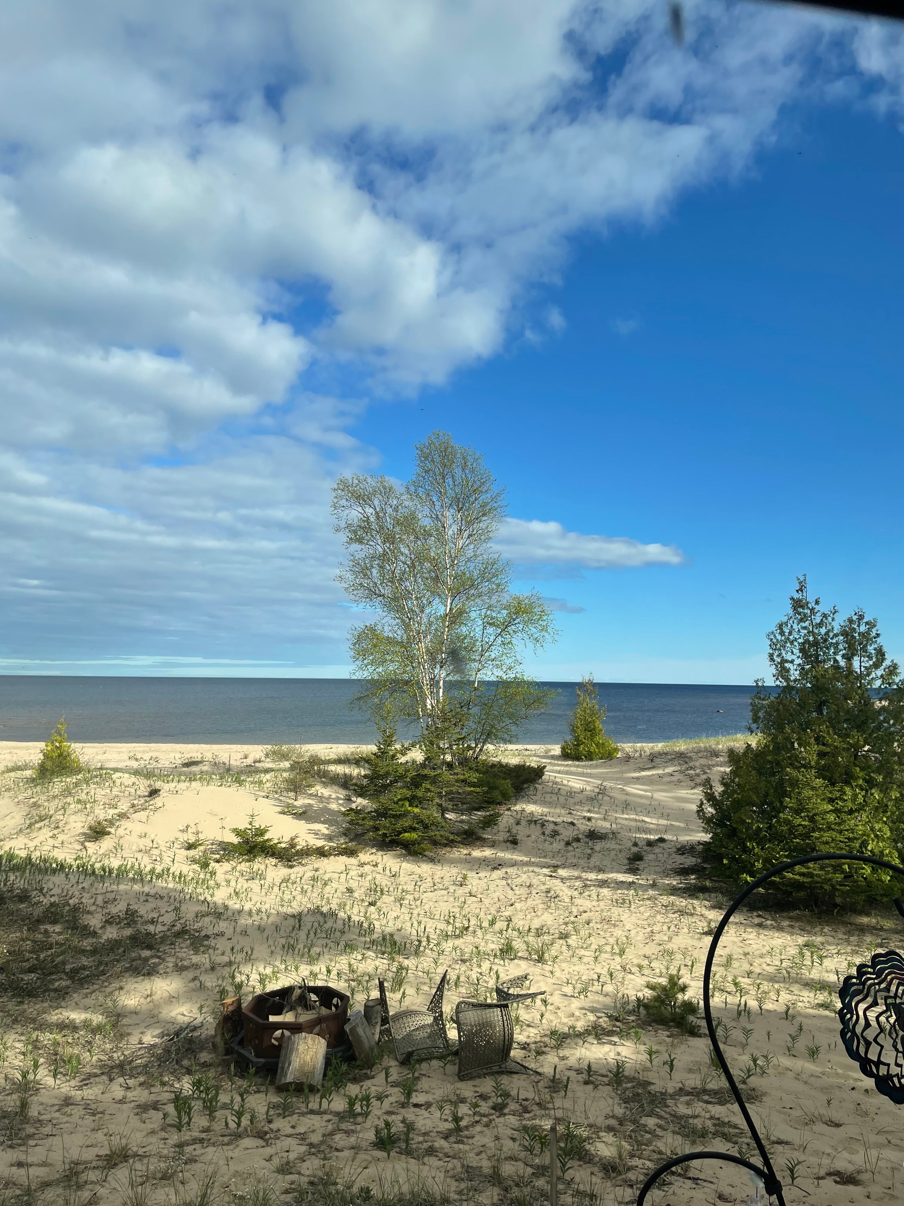 Pinecone Beach