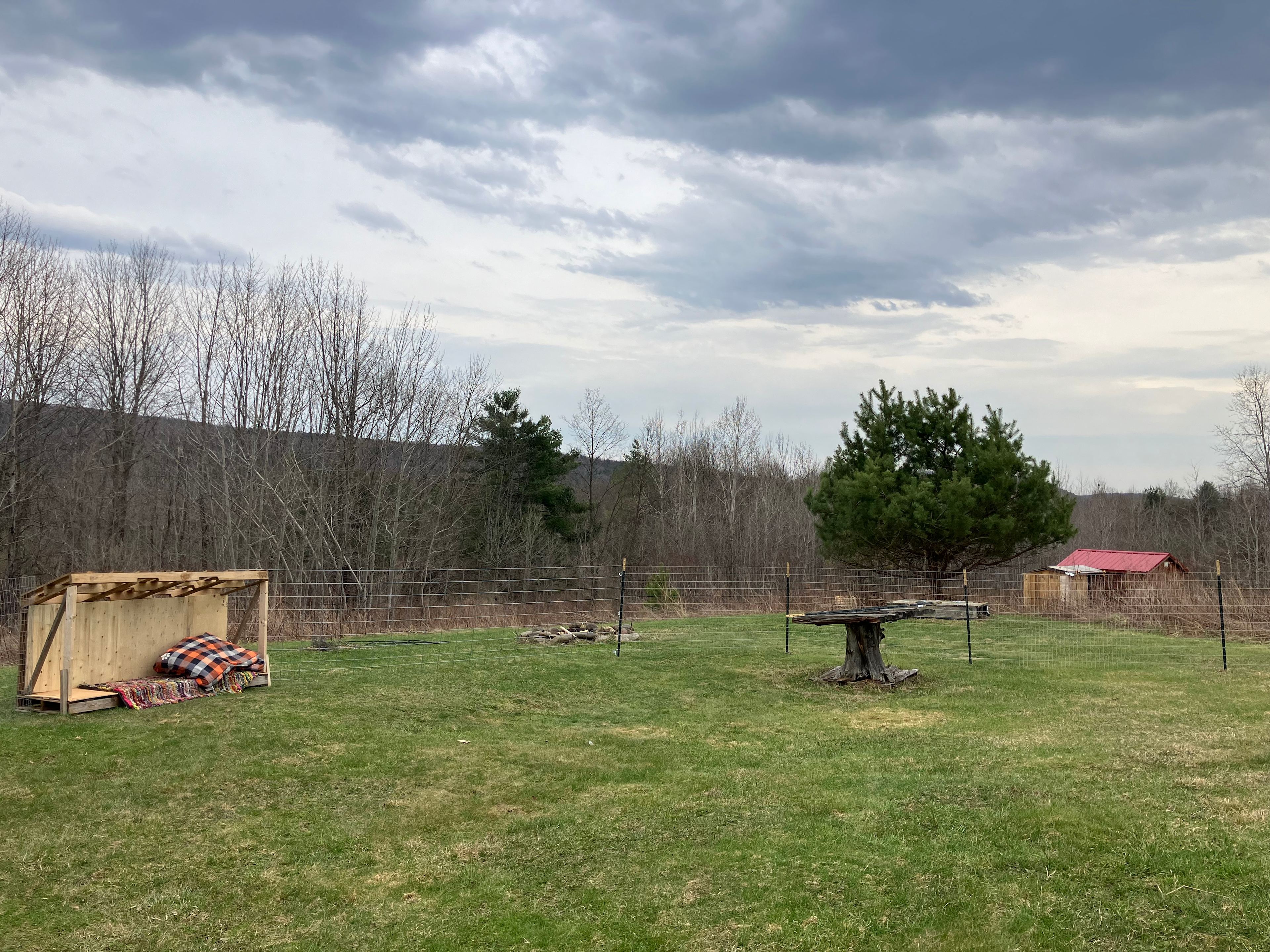 Firefly Farms