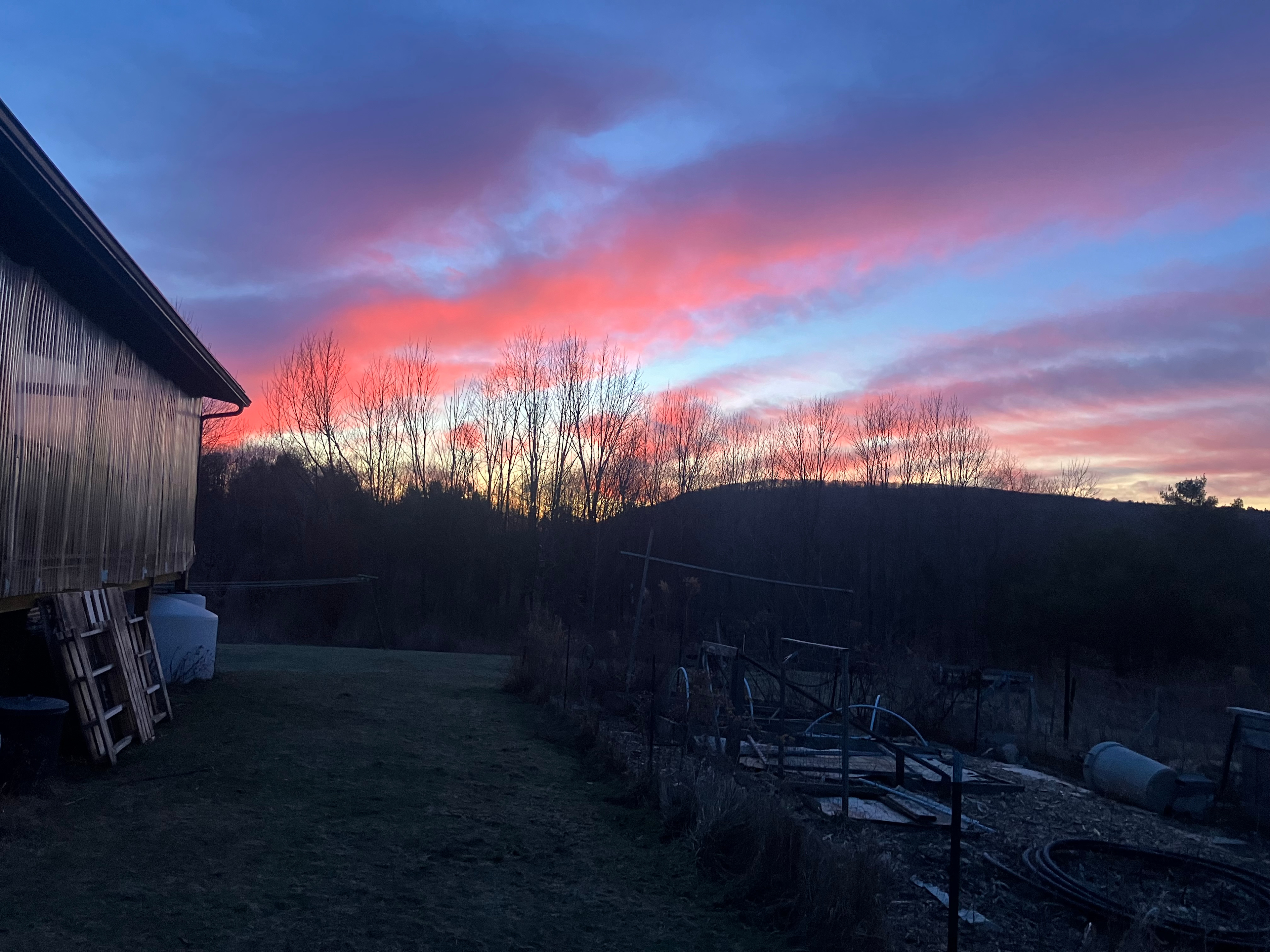 Firefly Farms