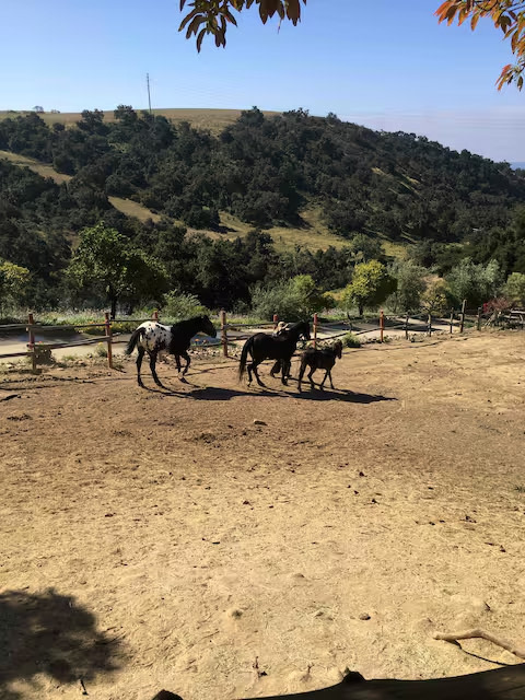 The Tack Room at El Capitan Ranch