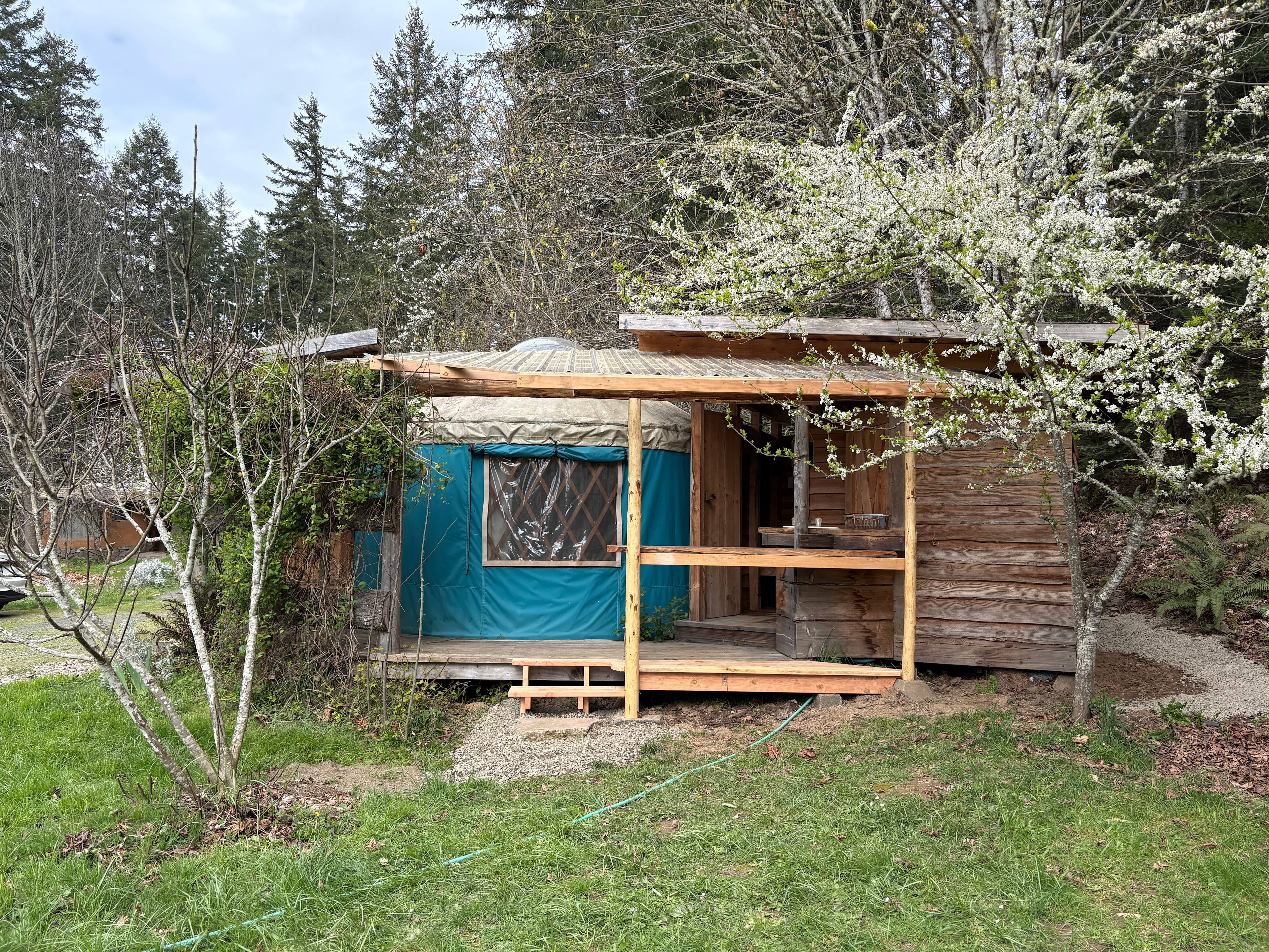Cozy Orchard Yurt
