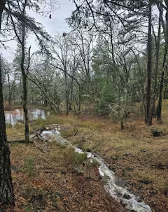 The Hollows Ranch