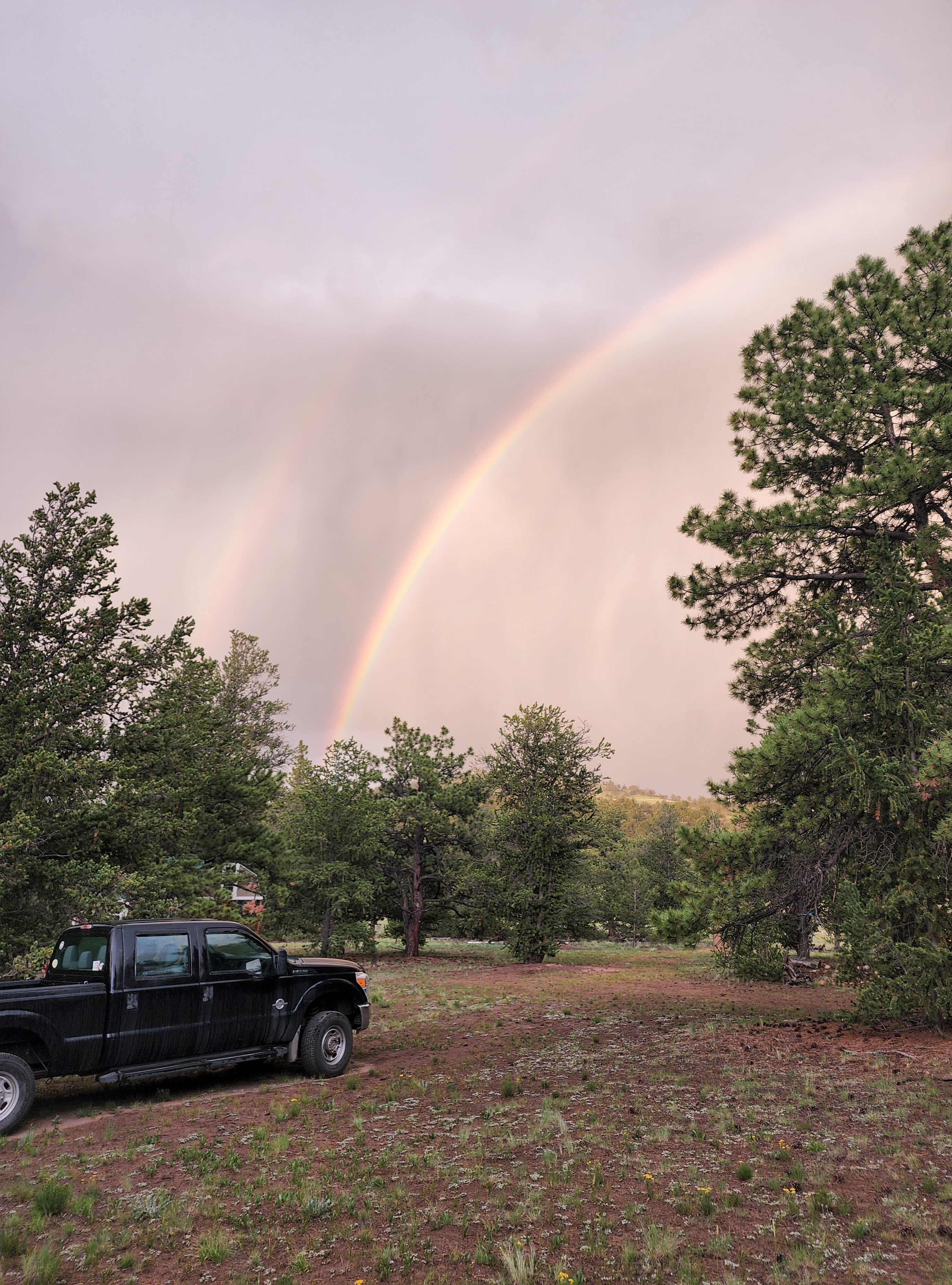 Dreamtime Ranch