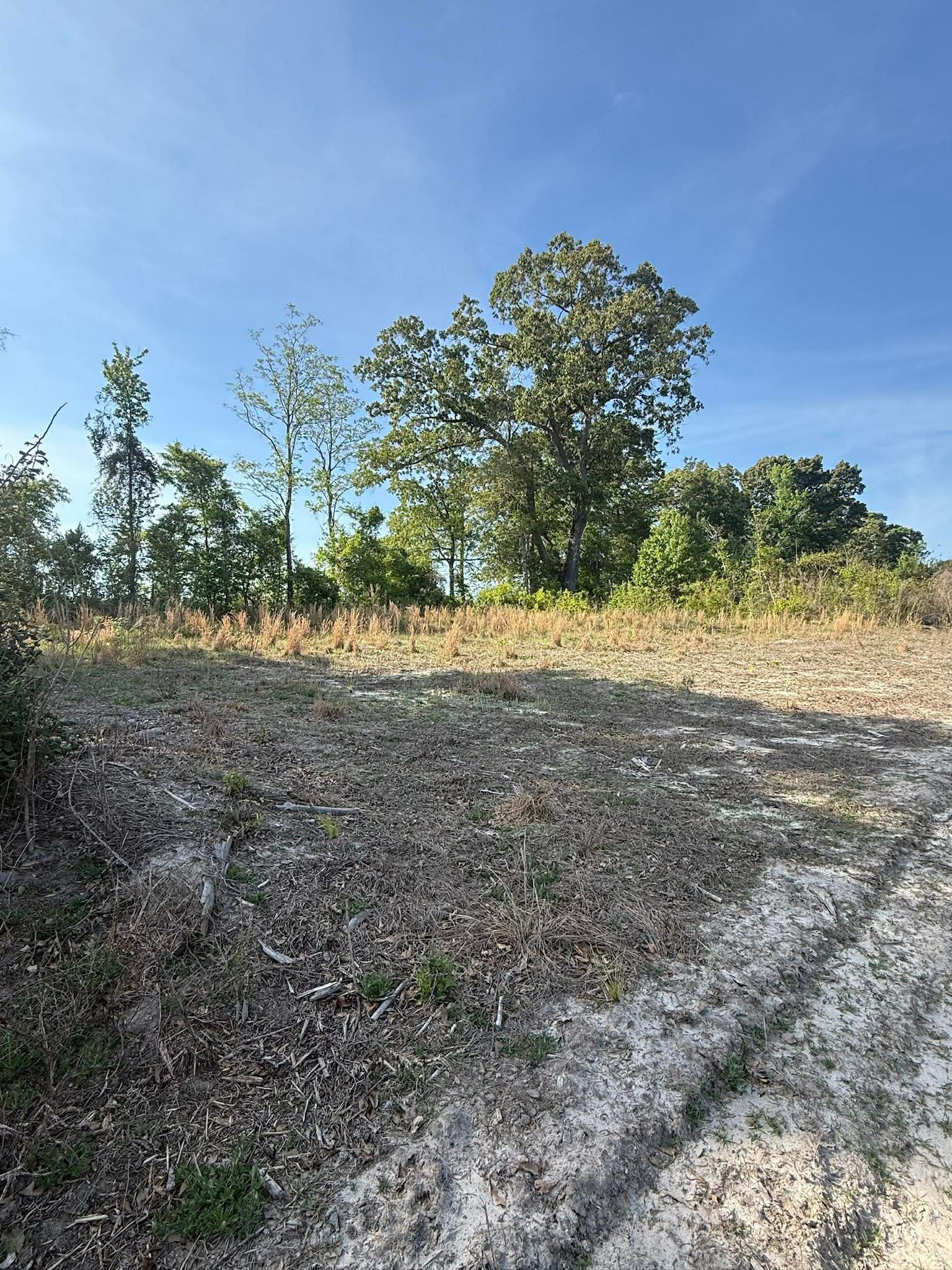 Friendship Pastures