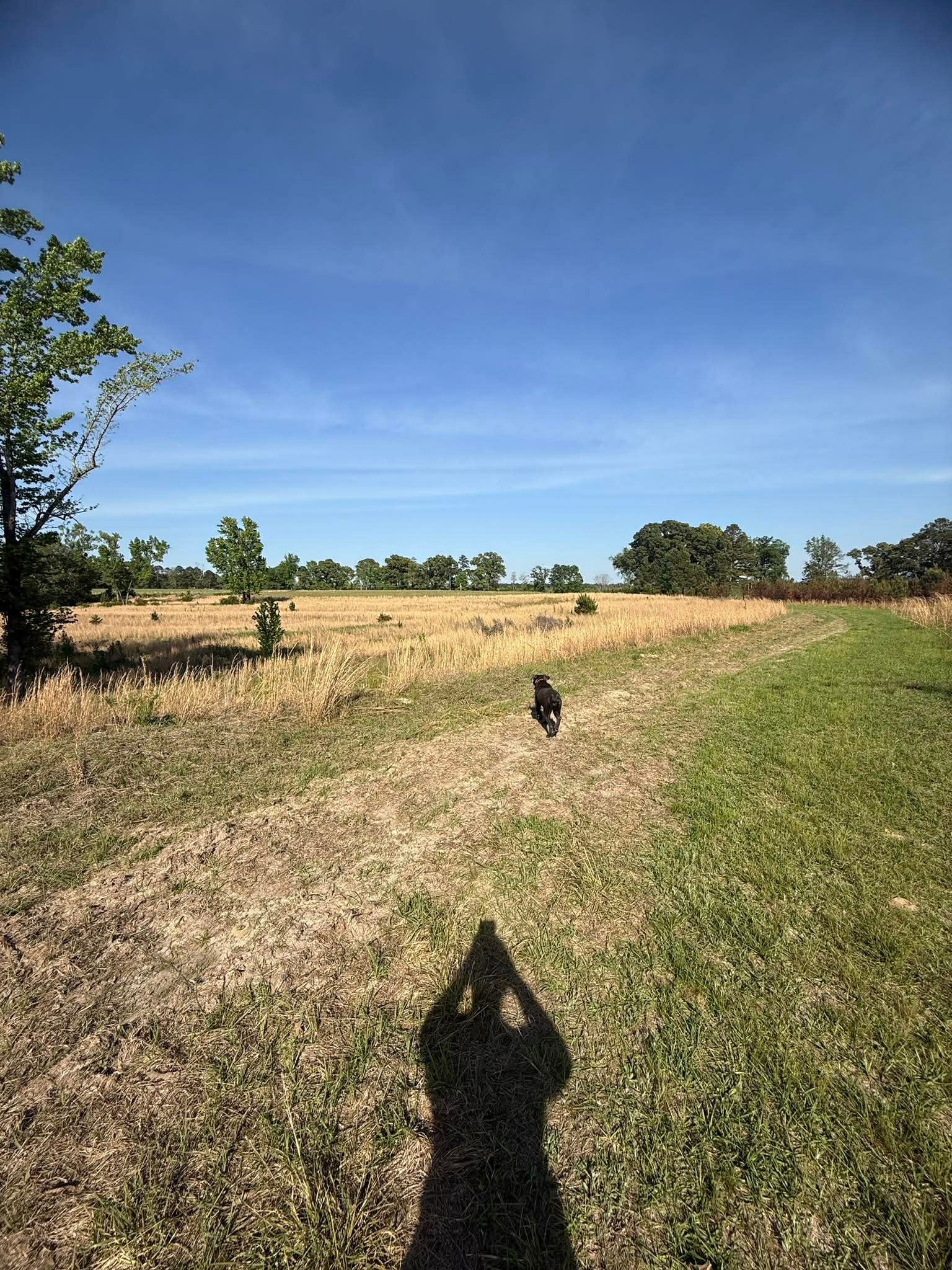 Friendship Pastures