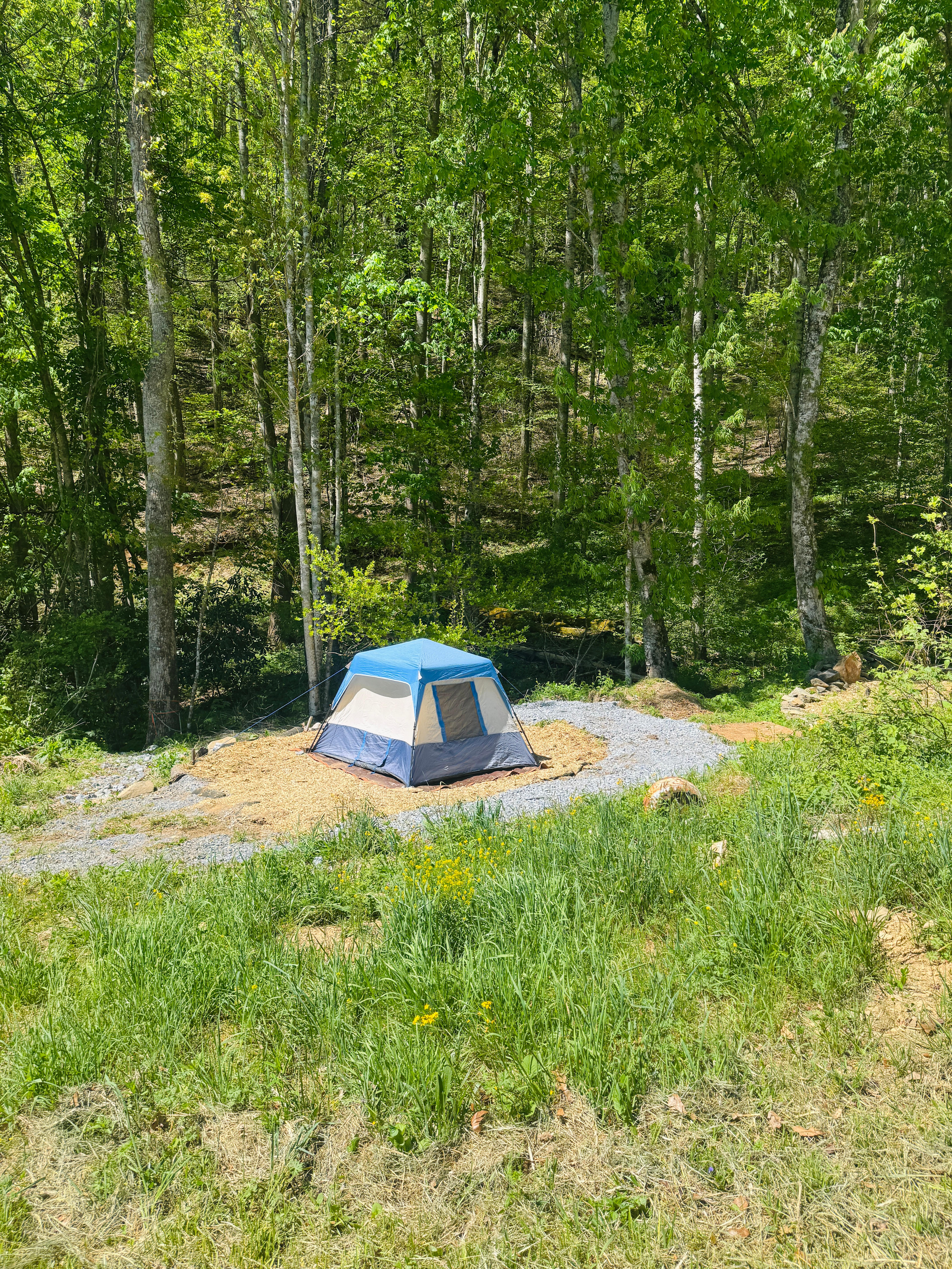 Herbal Homestead + Camping Oasis