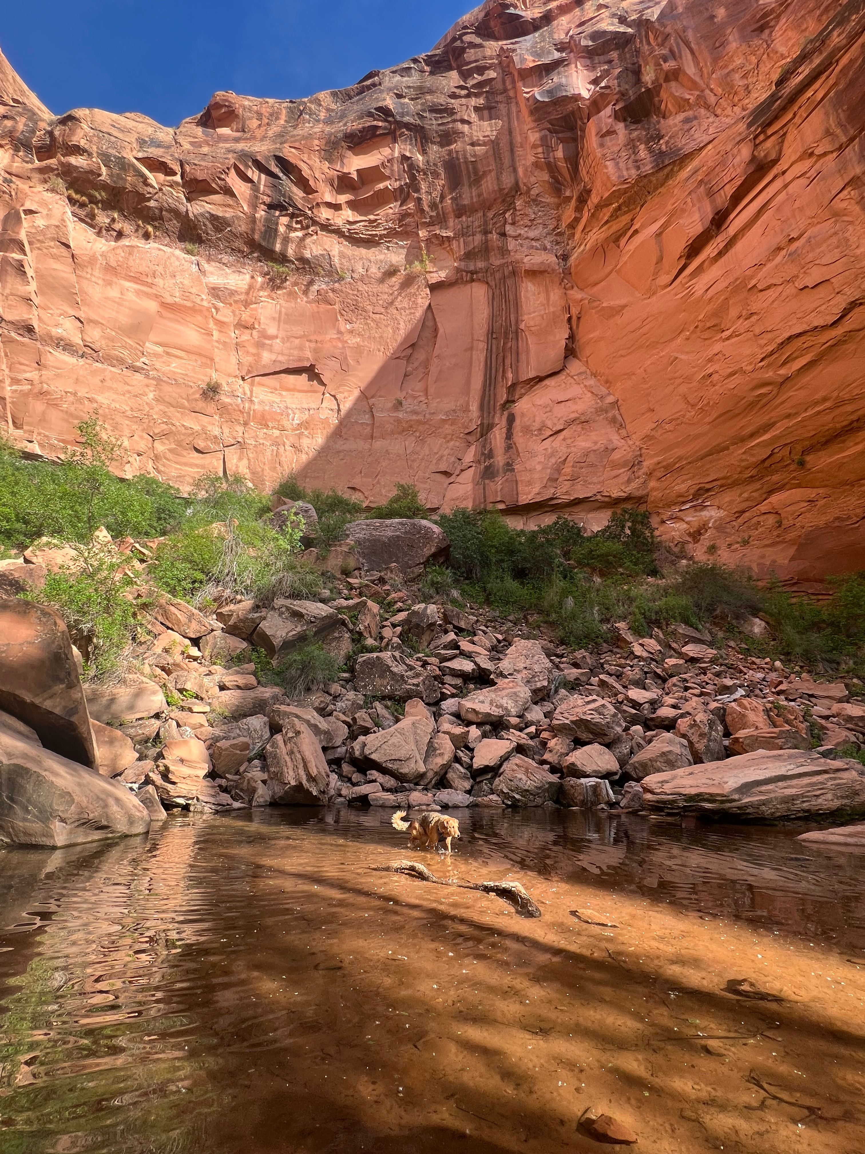 King's Bottom Campground