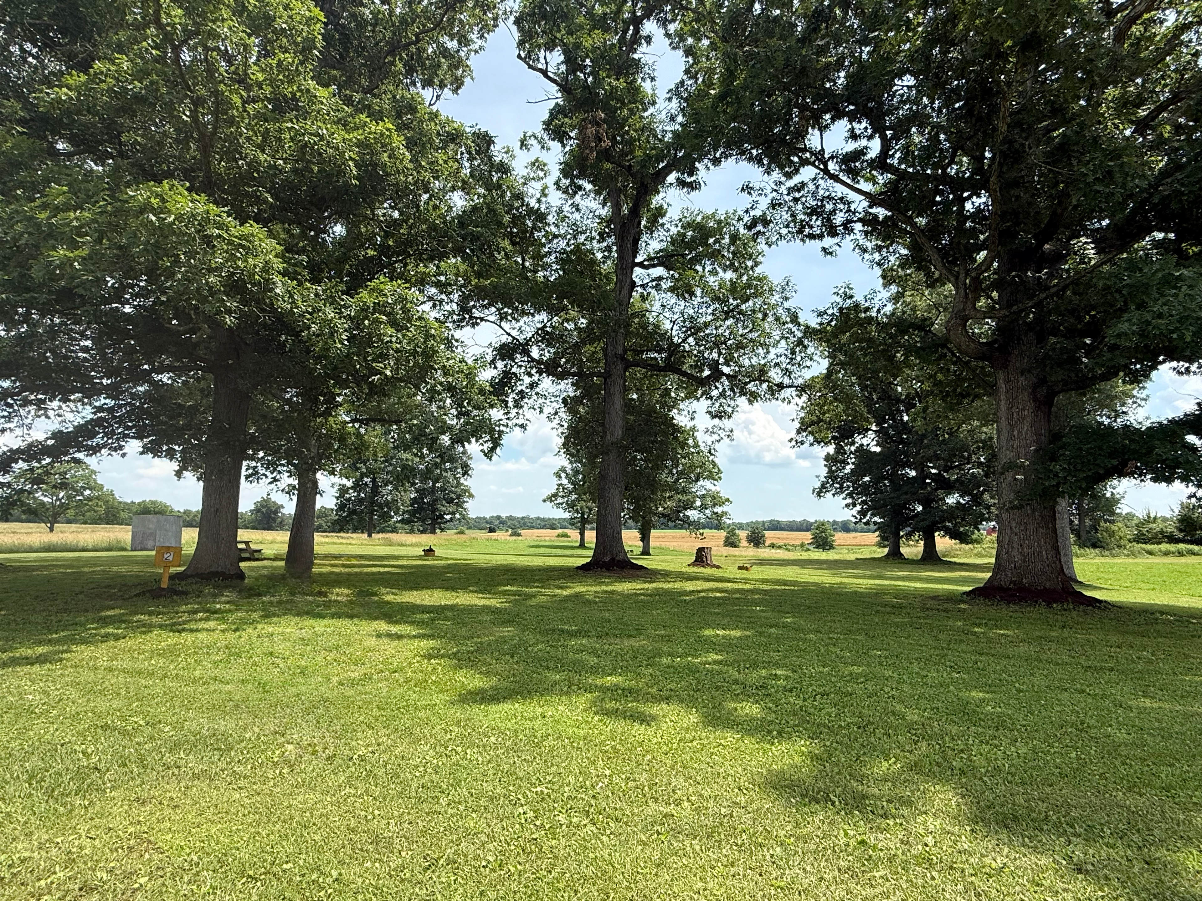 The Ponderosa