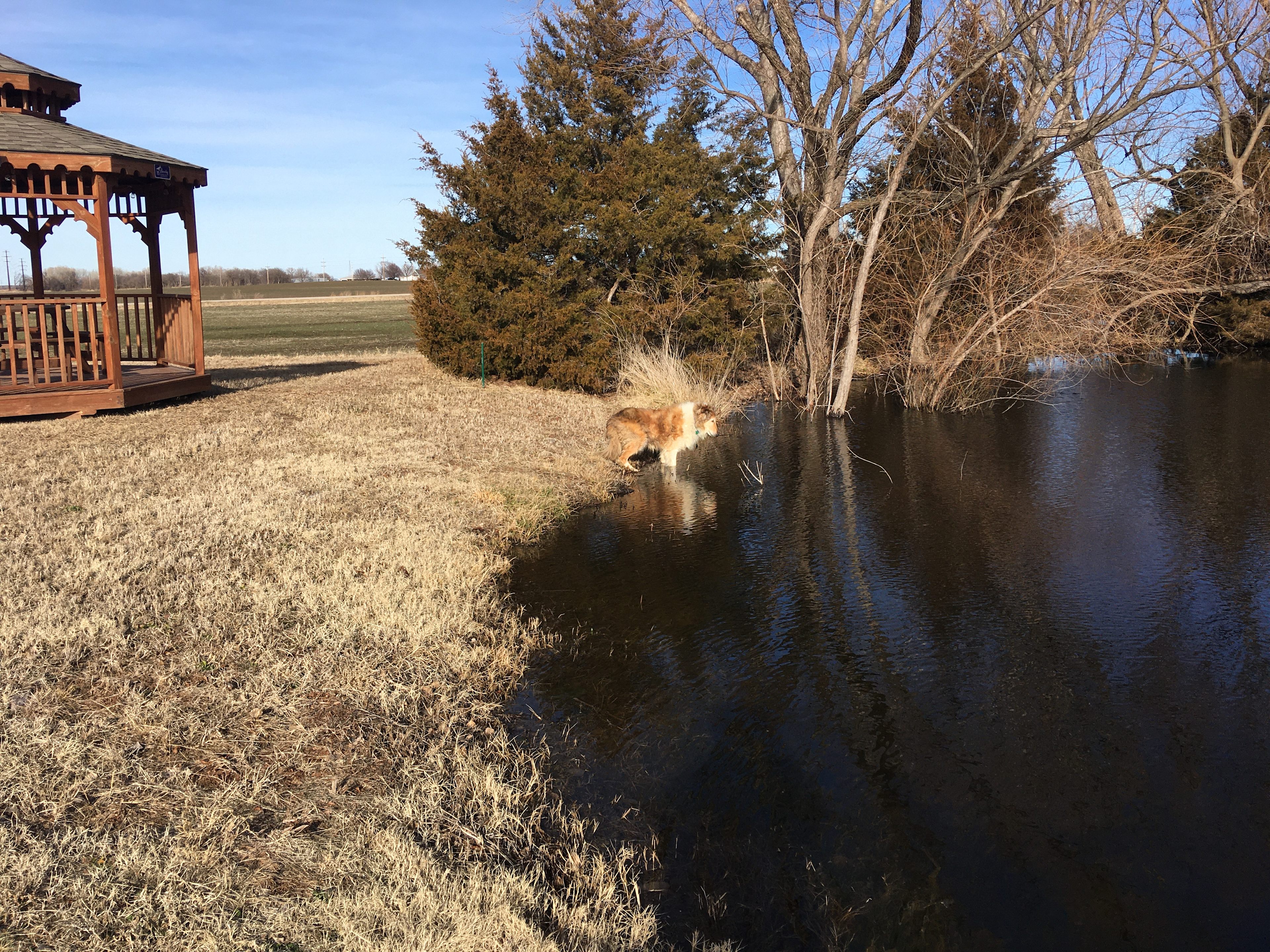 RV Camping Next To Pond & Gazebo
