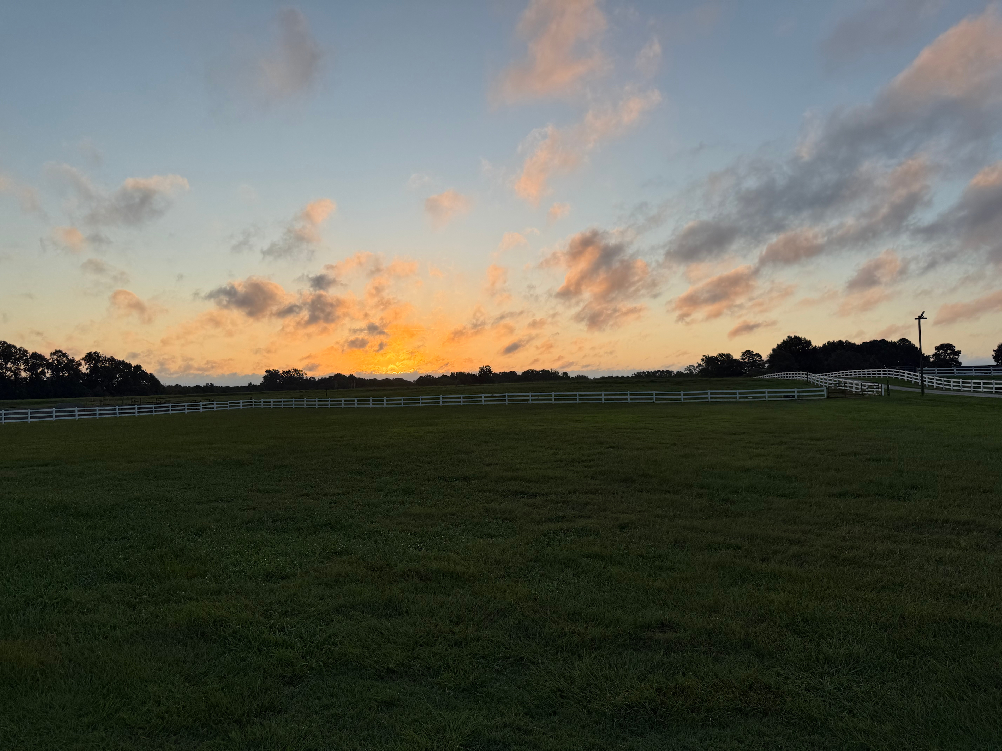 Horse Ranch-a short drive from 95