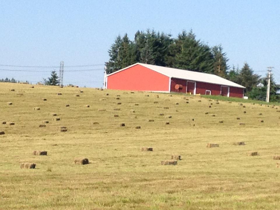 Riverside Park @ Get To-Gather Farm