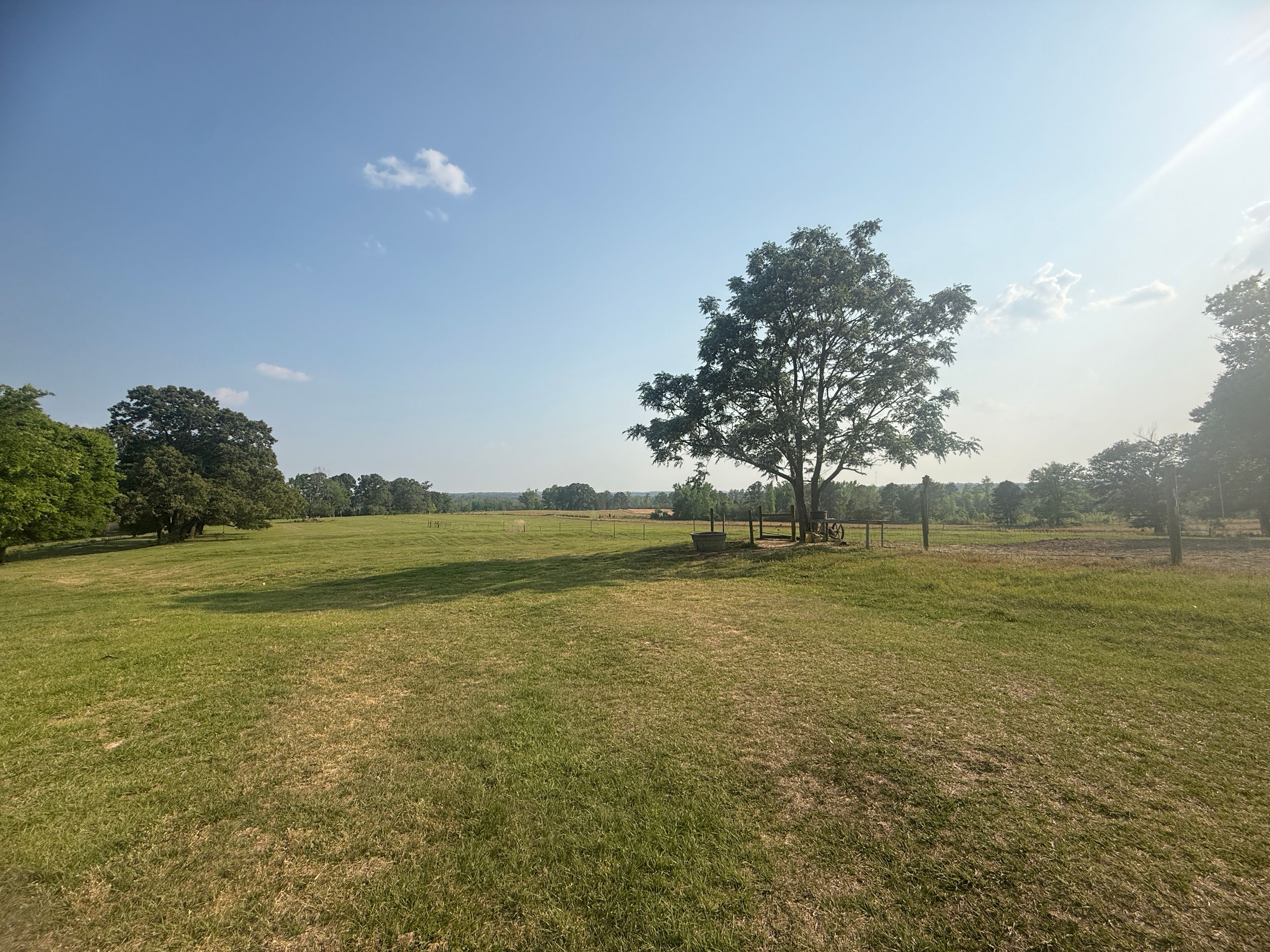 Friendship Pastures