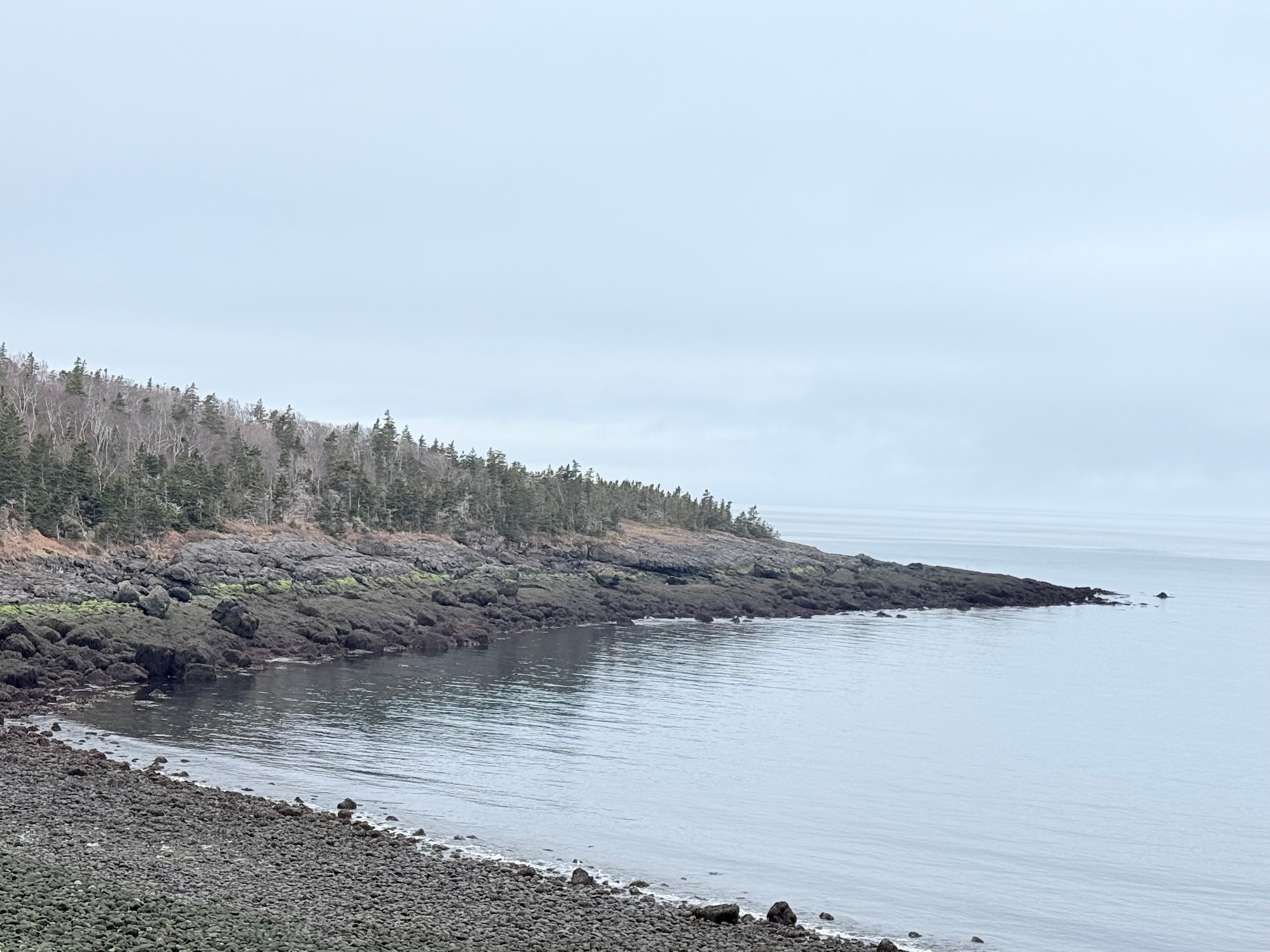 A view of the site from the other side of Whale Cove.