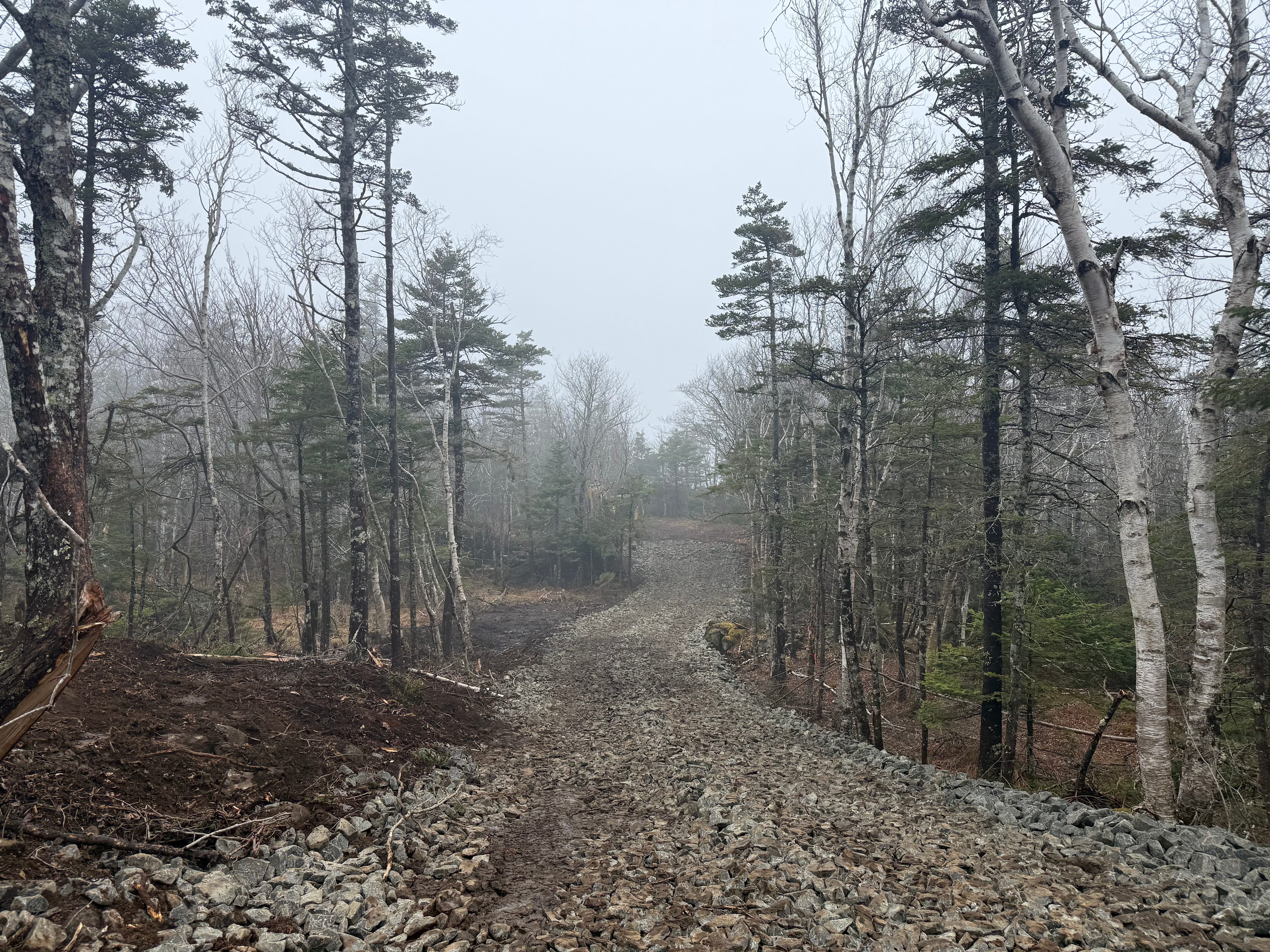 This is the driveway to the campsite.  