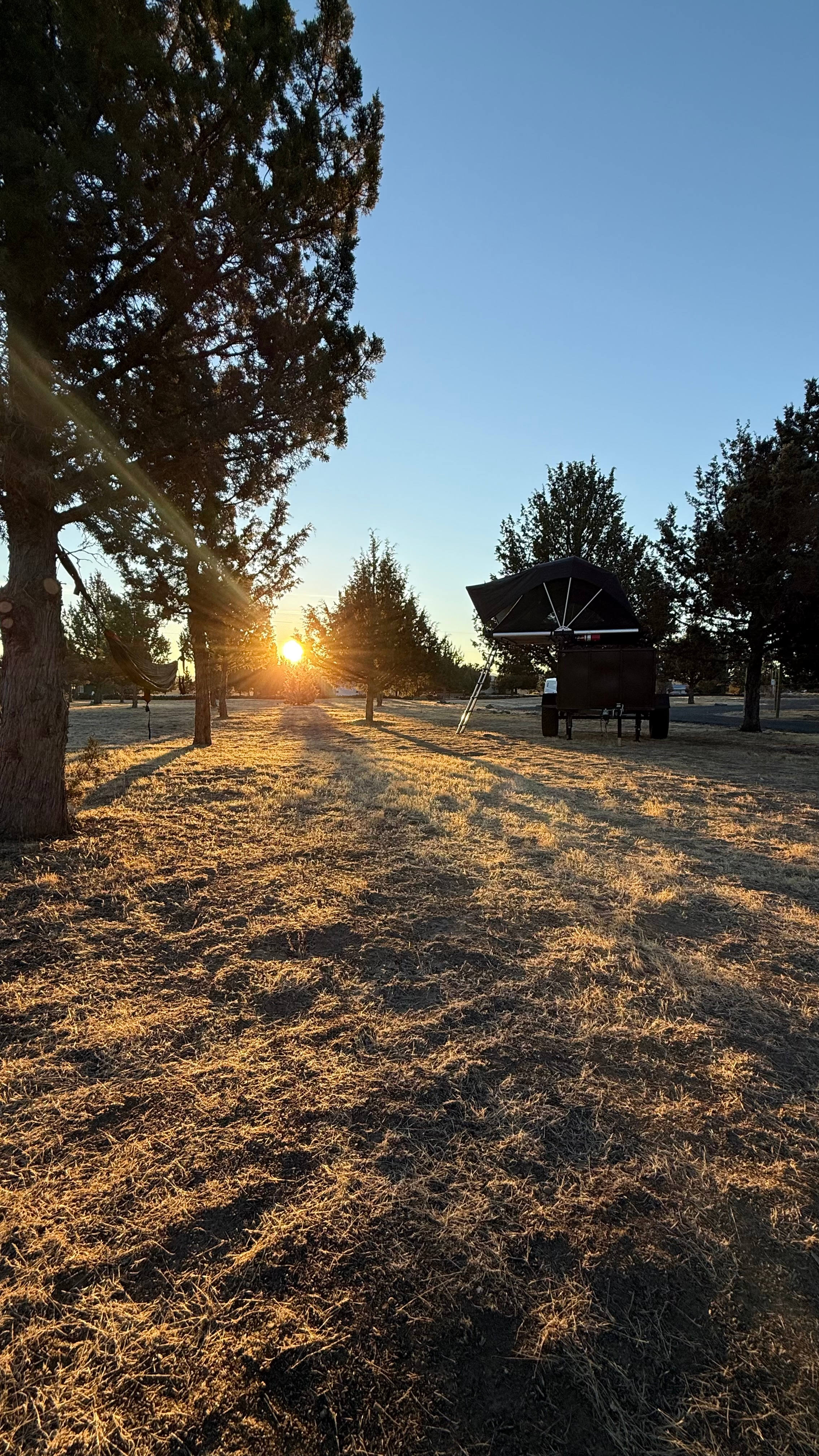 Camp Elevated Adventures