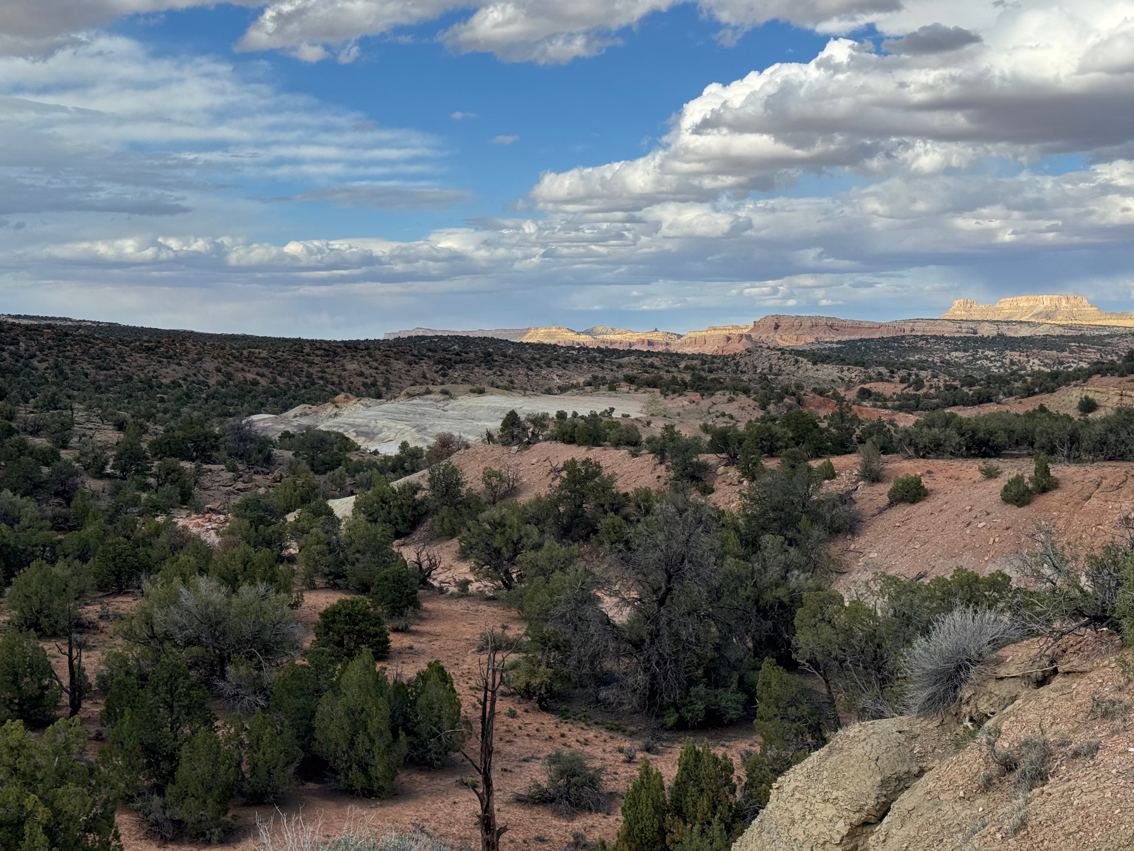 Cedar Mesa Campground