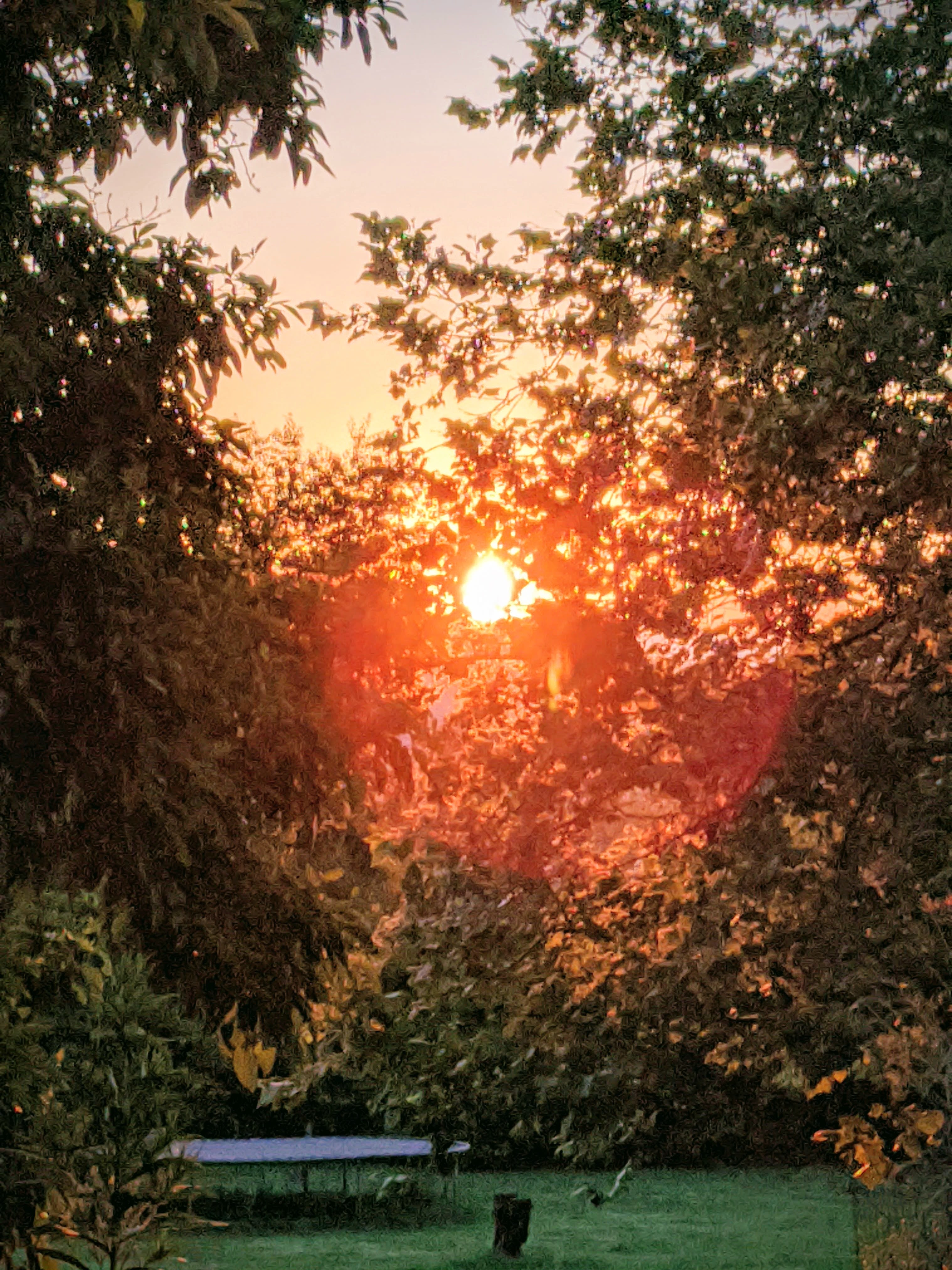 Sunrise Serenity Camp