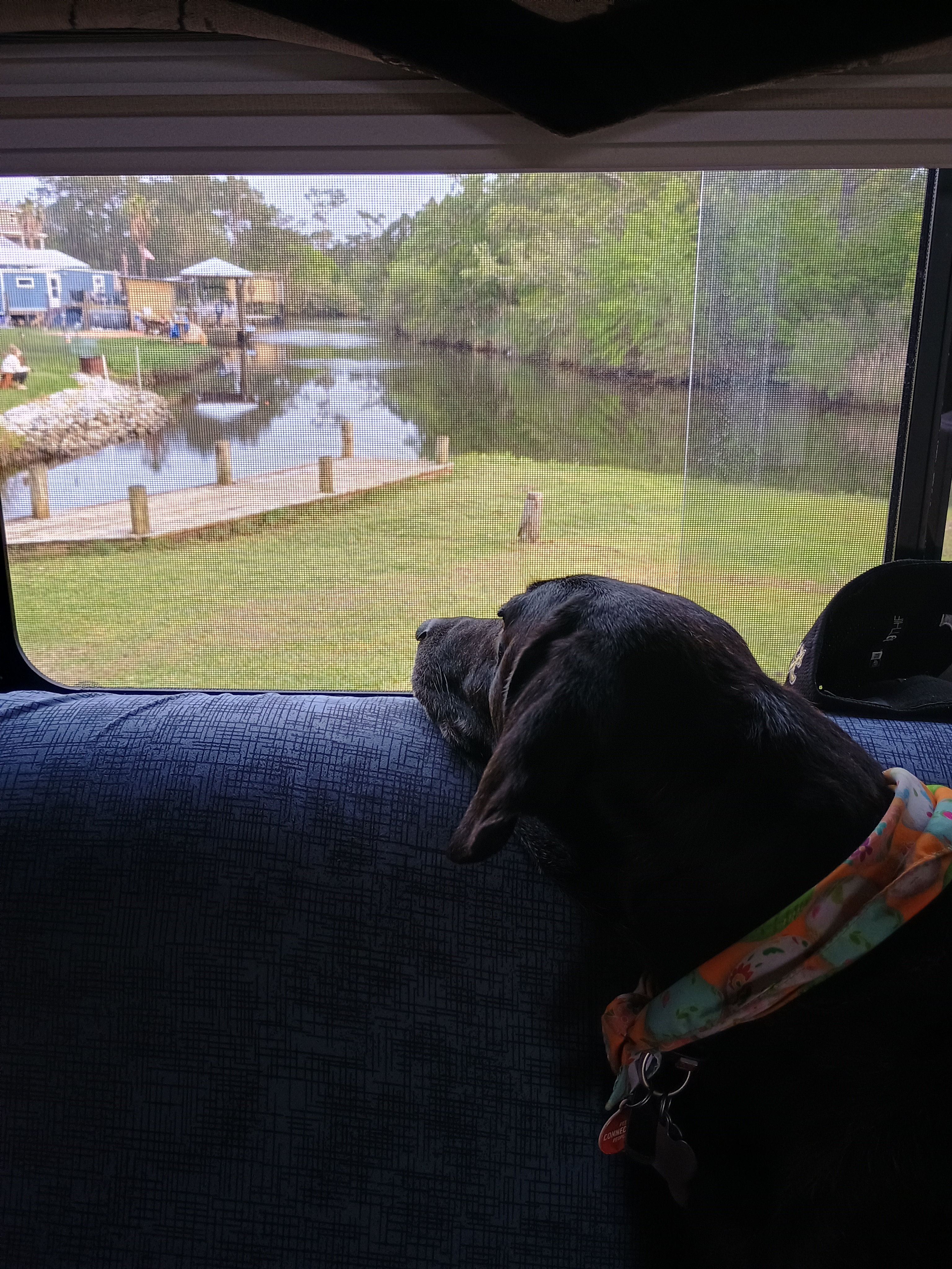 Bayou Peninsula