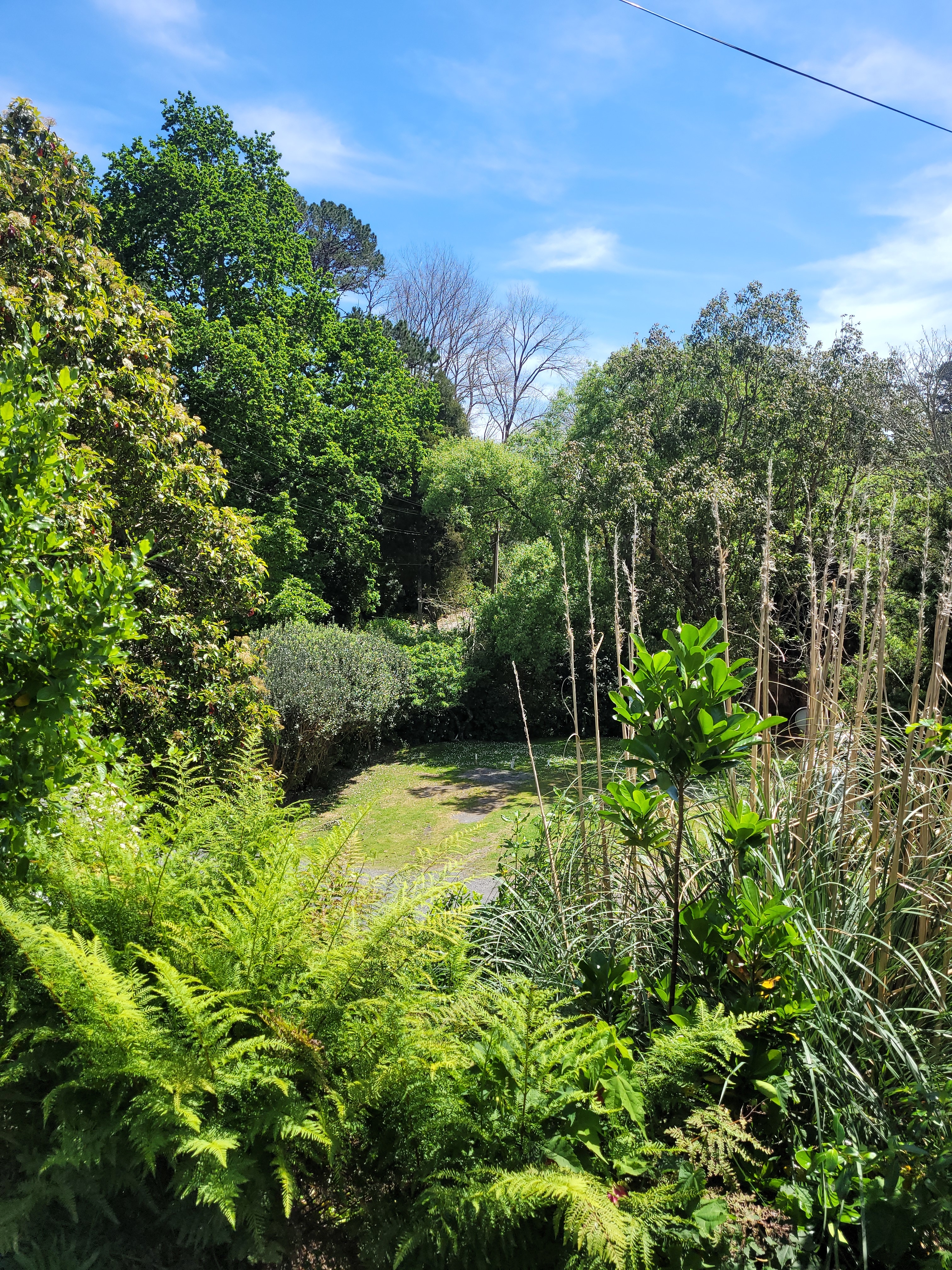 Dickson Holiday Park