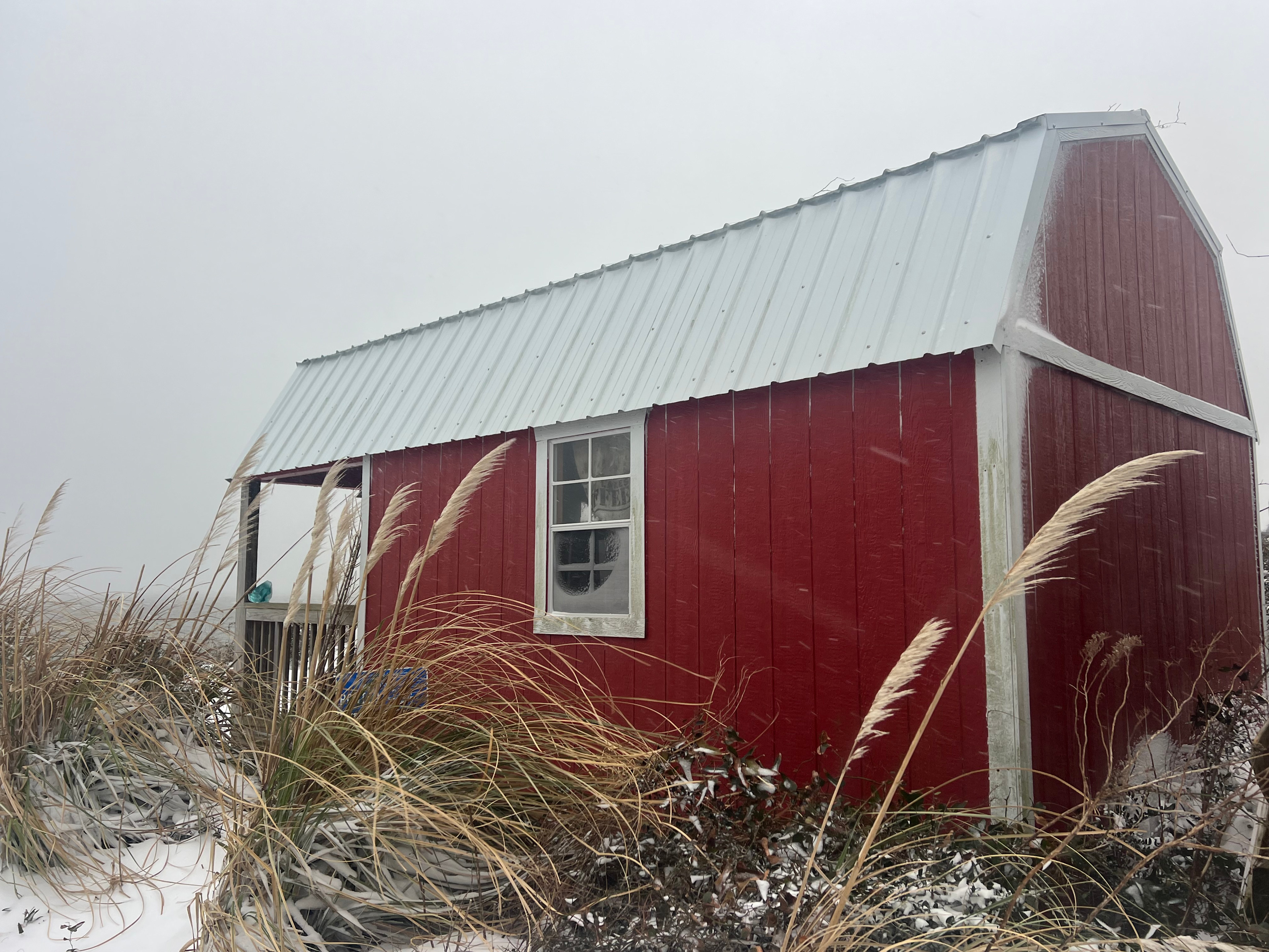 Lola’s Glasshouse Down the Bay