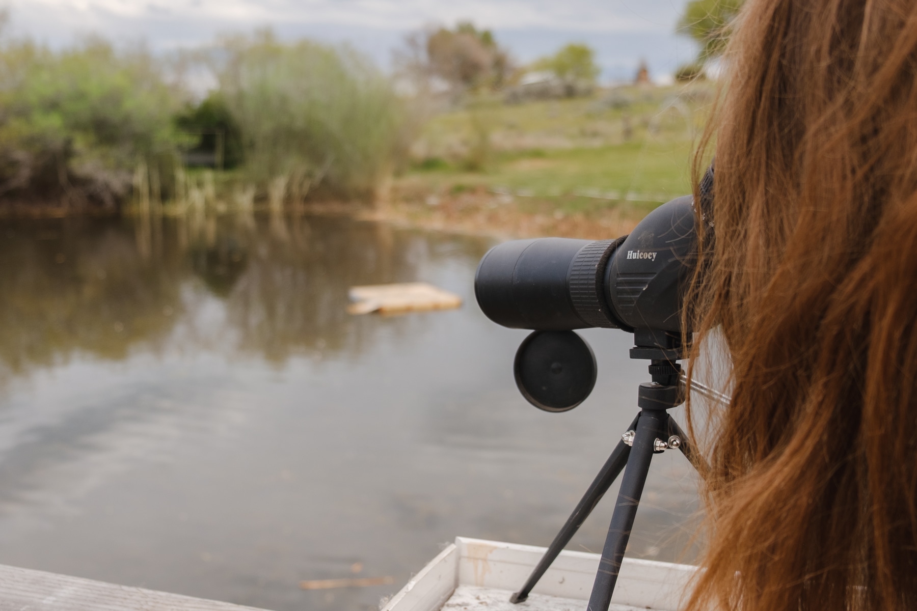 There's a spotting scope set up so you can watch birds and turtles! 
