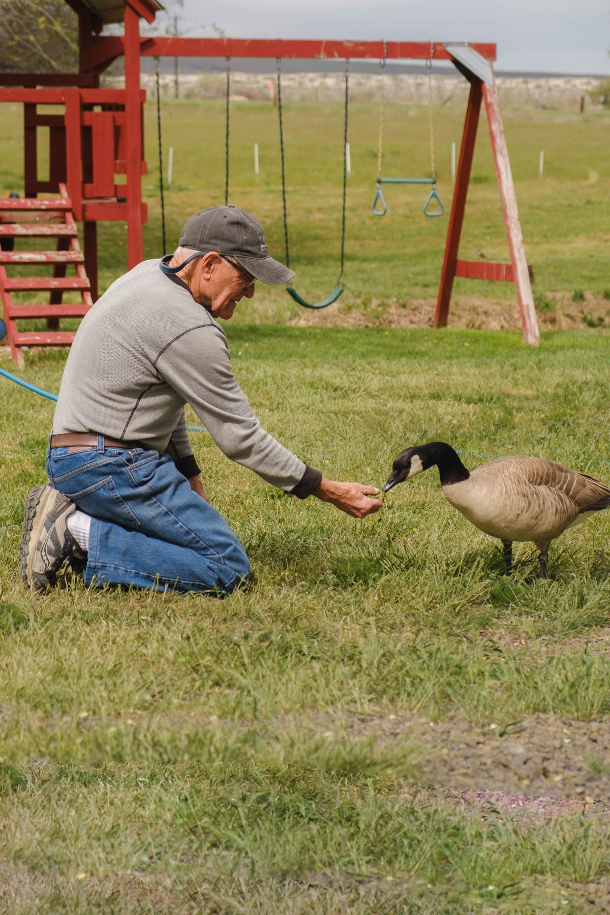 Your host David (who goes by Paul) and his goose baby Alice he handraised. 