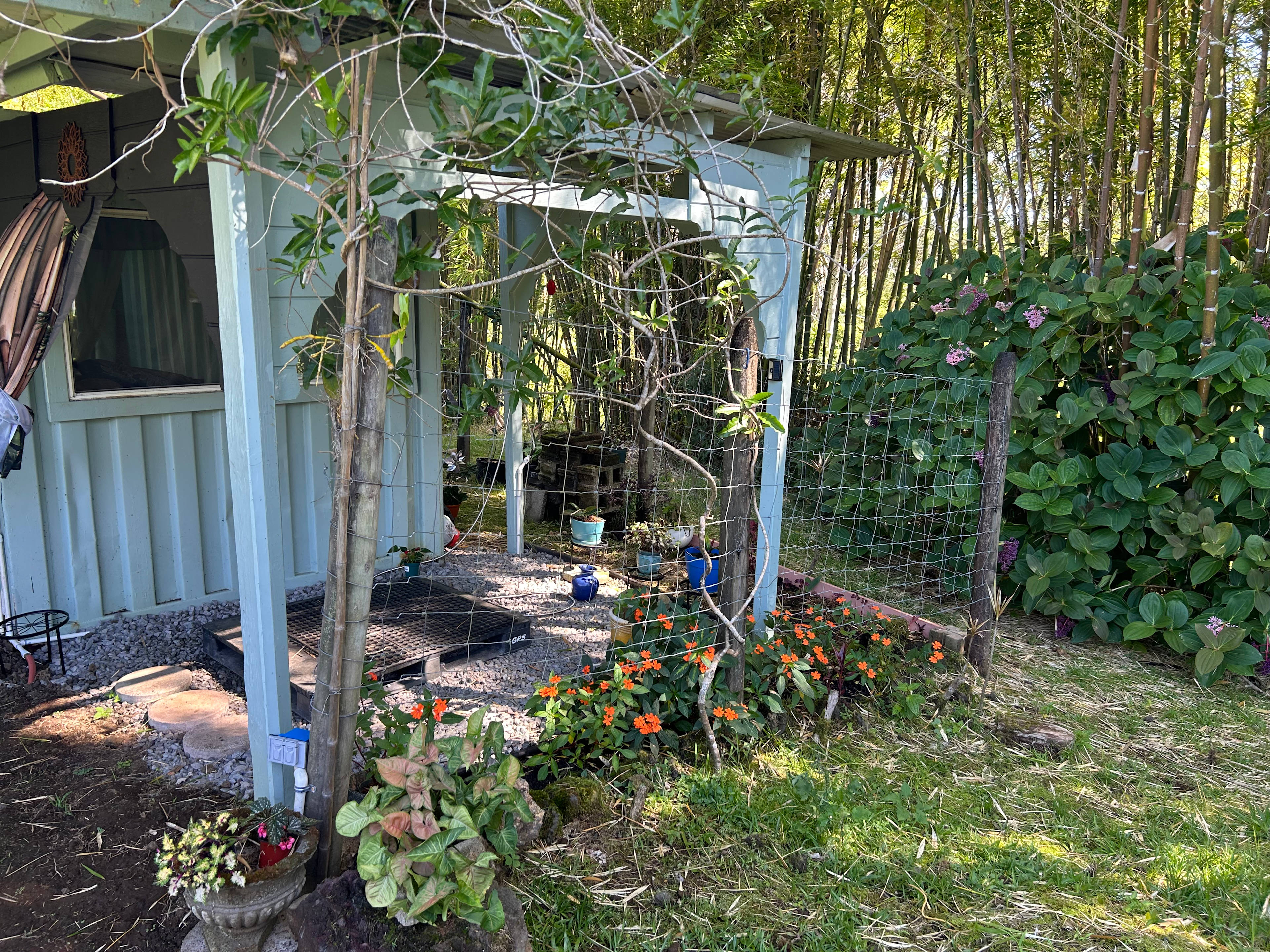 Bamboo Bungalow