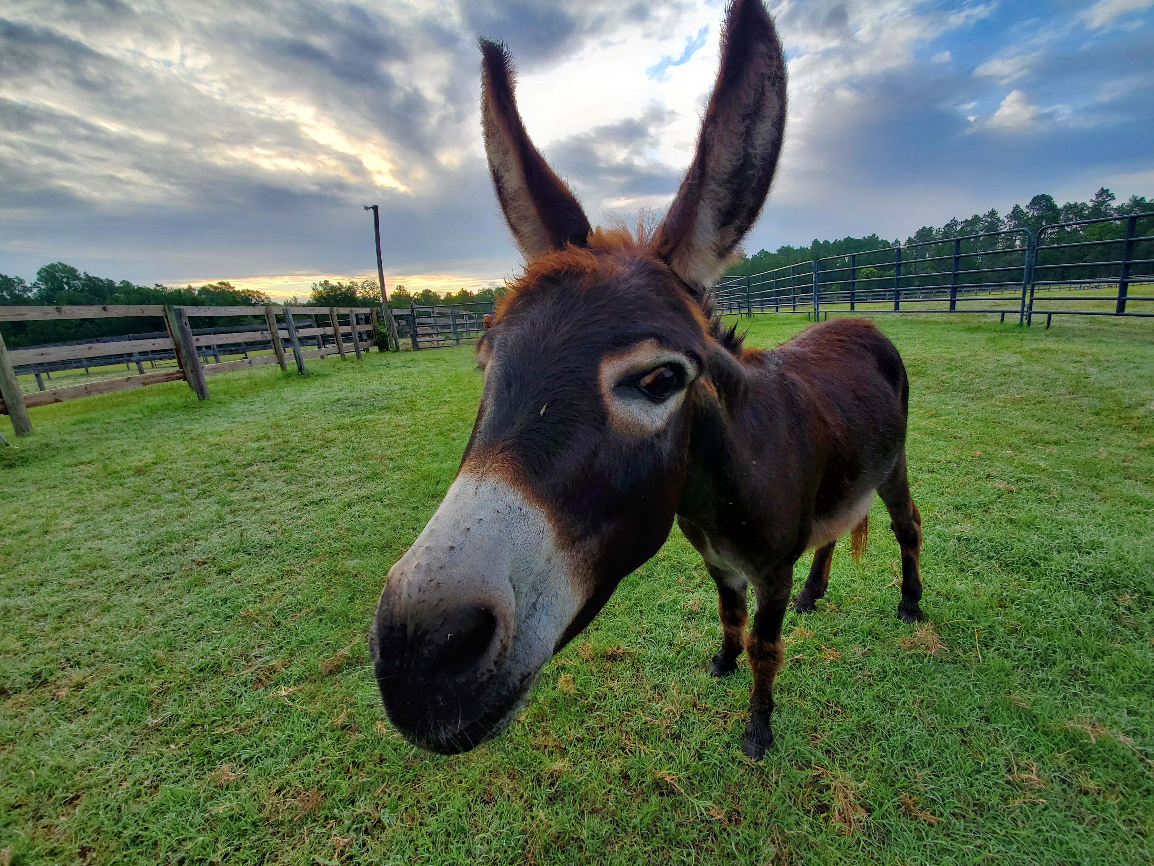 Whistling H Farms