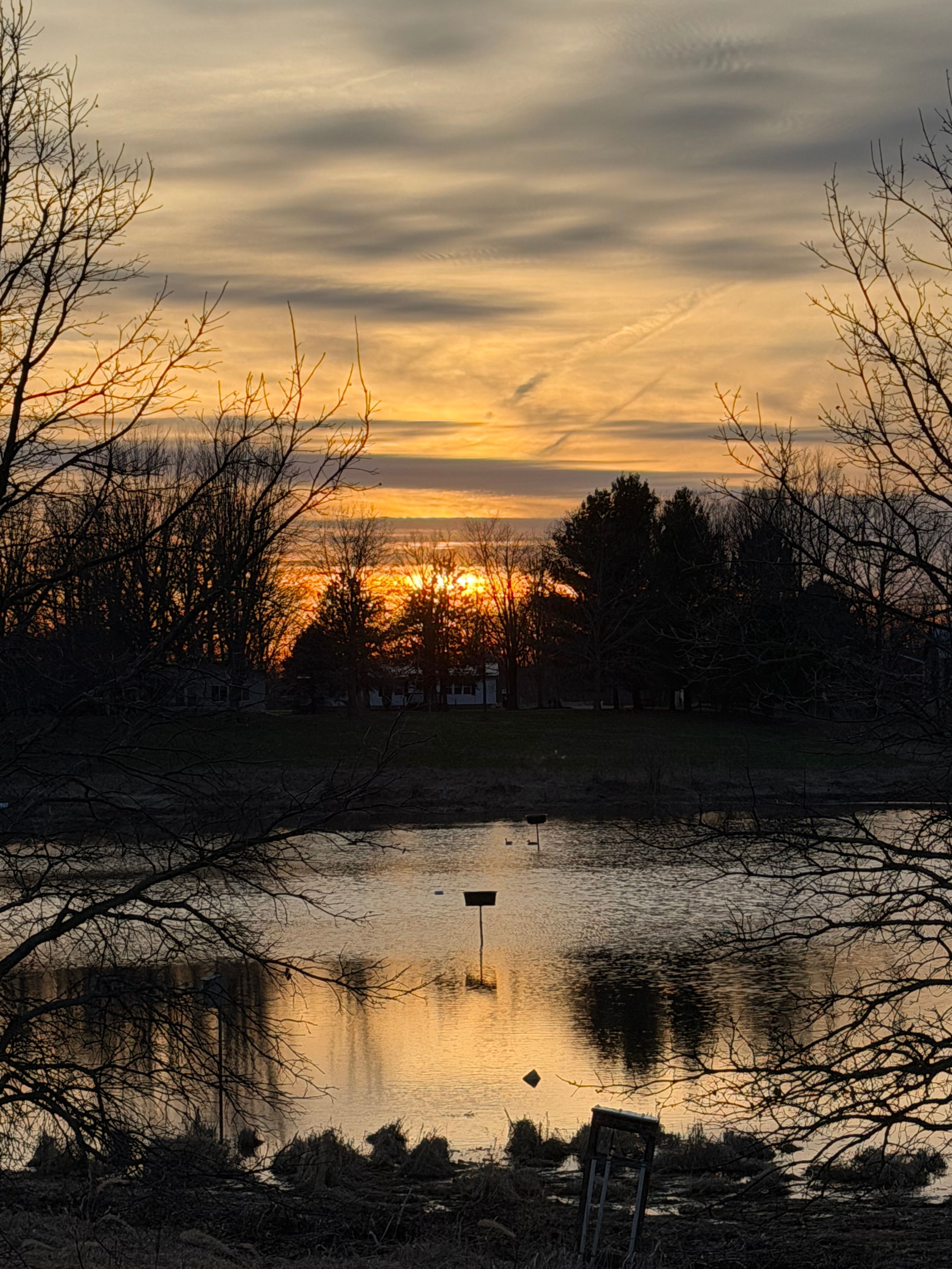 Wildlife-Water-Nature Sanctuary