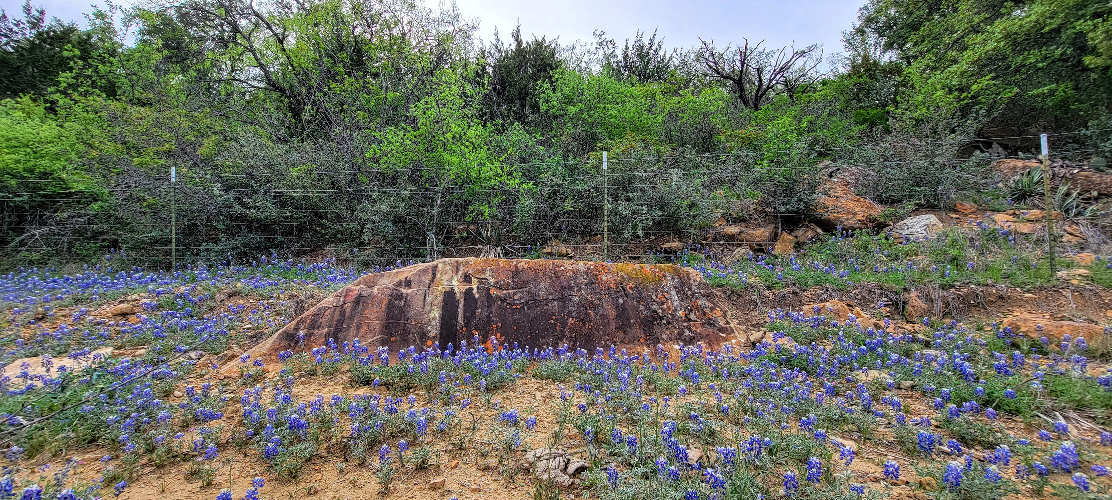 Nelson Ranch