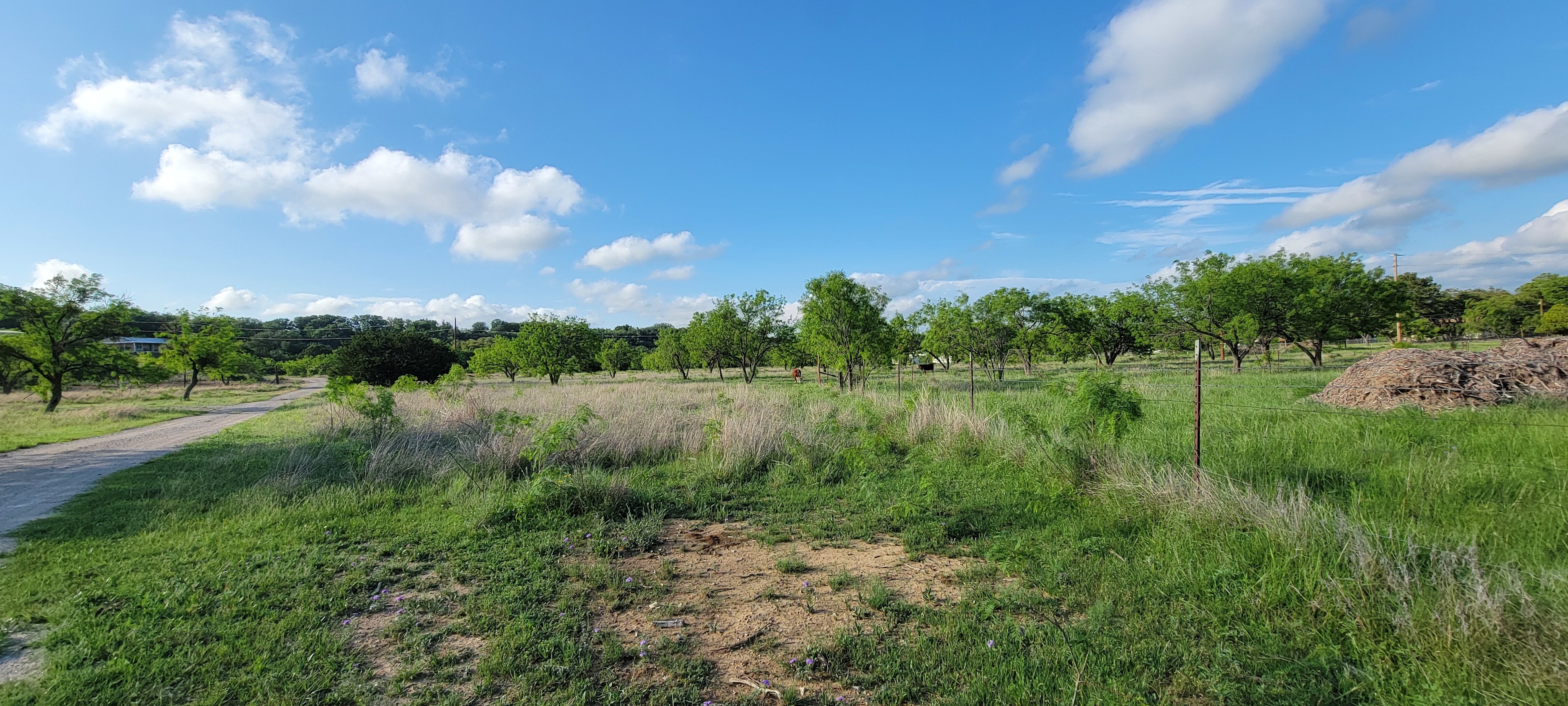 Nelson Ranch