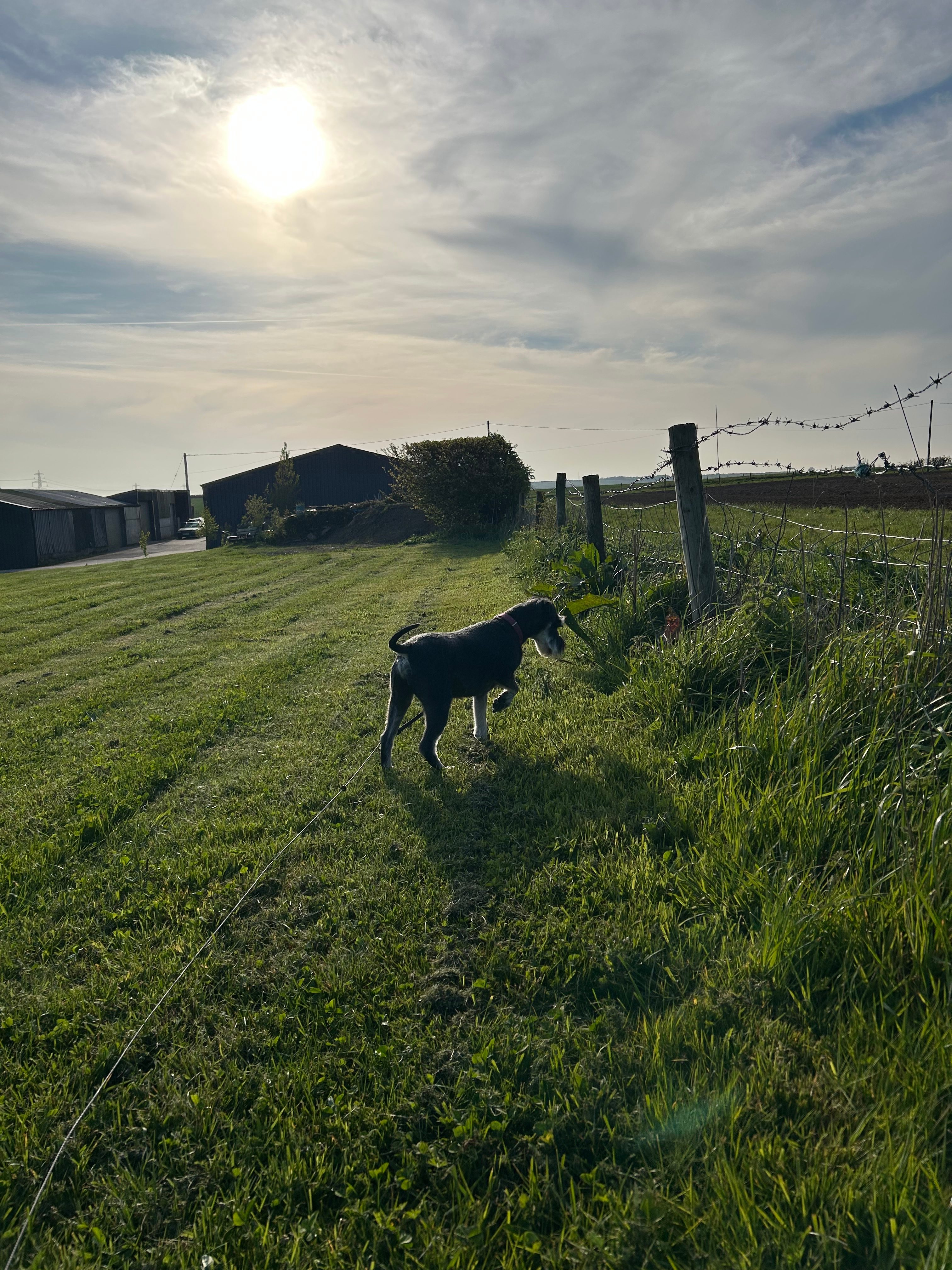 Hardyes Countryside Camping
