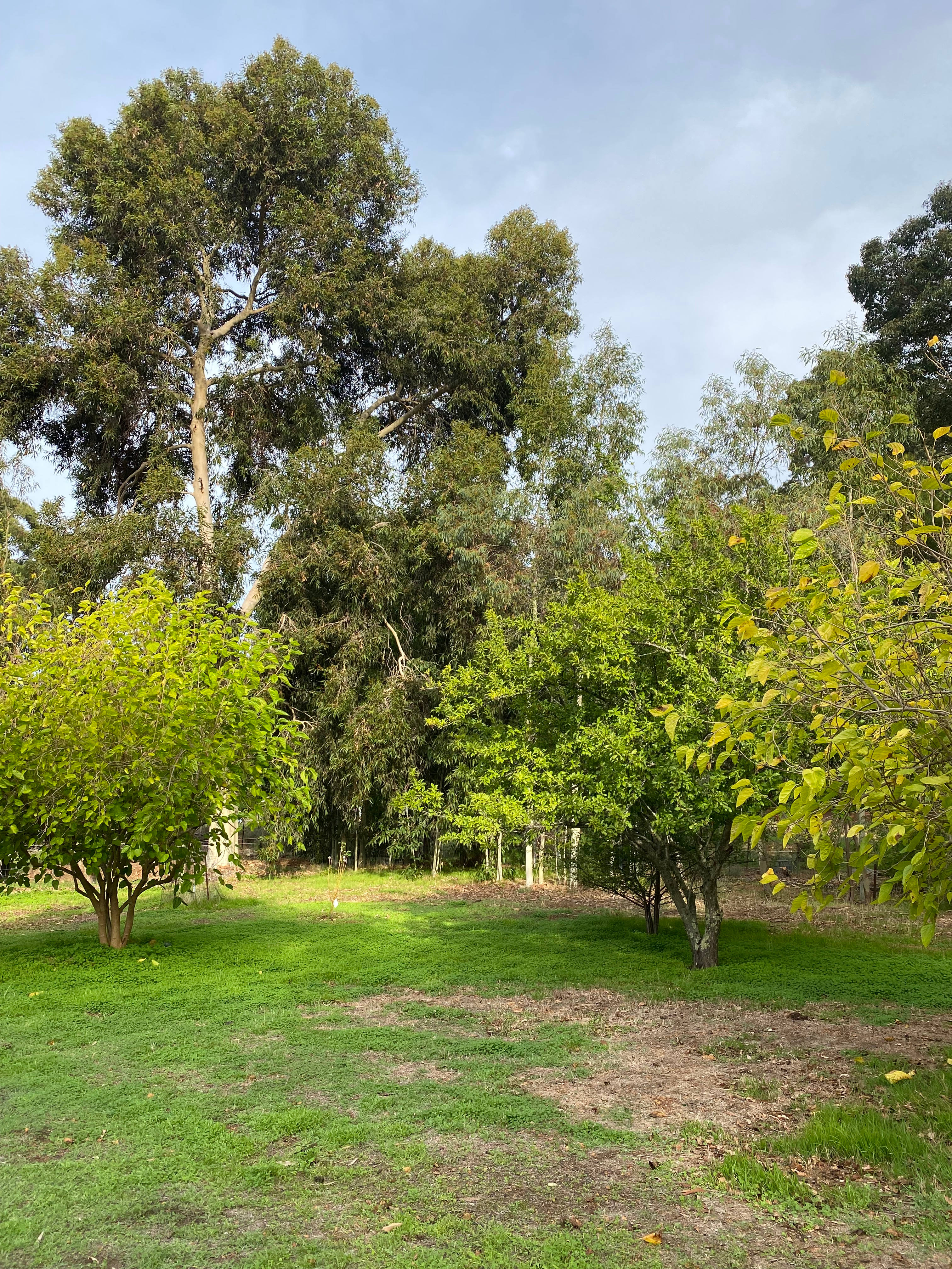 Jarrahdale Bush Retreat