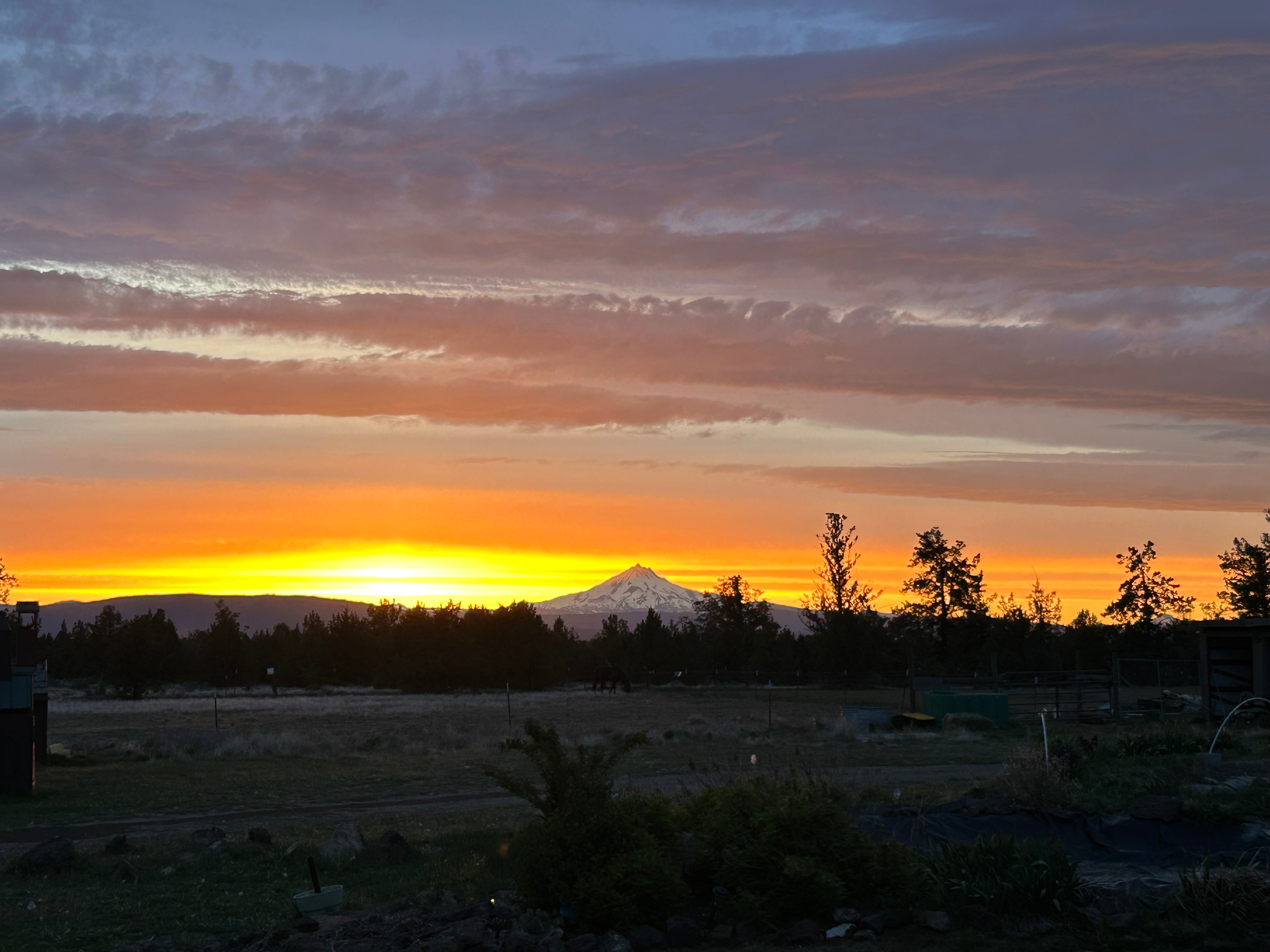 Rockwell Ranch