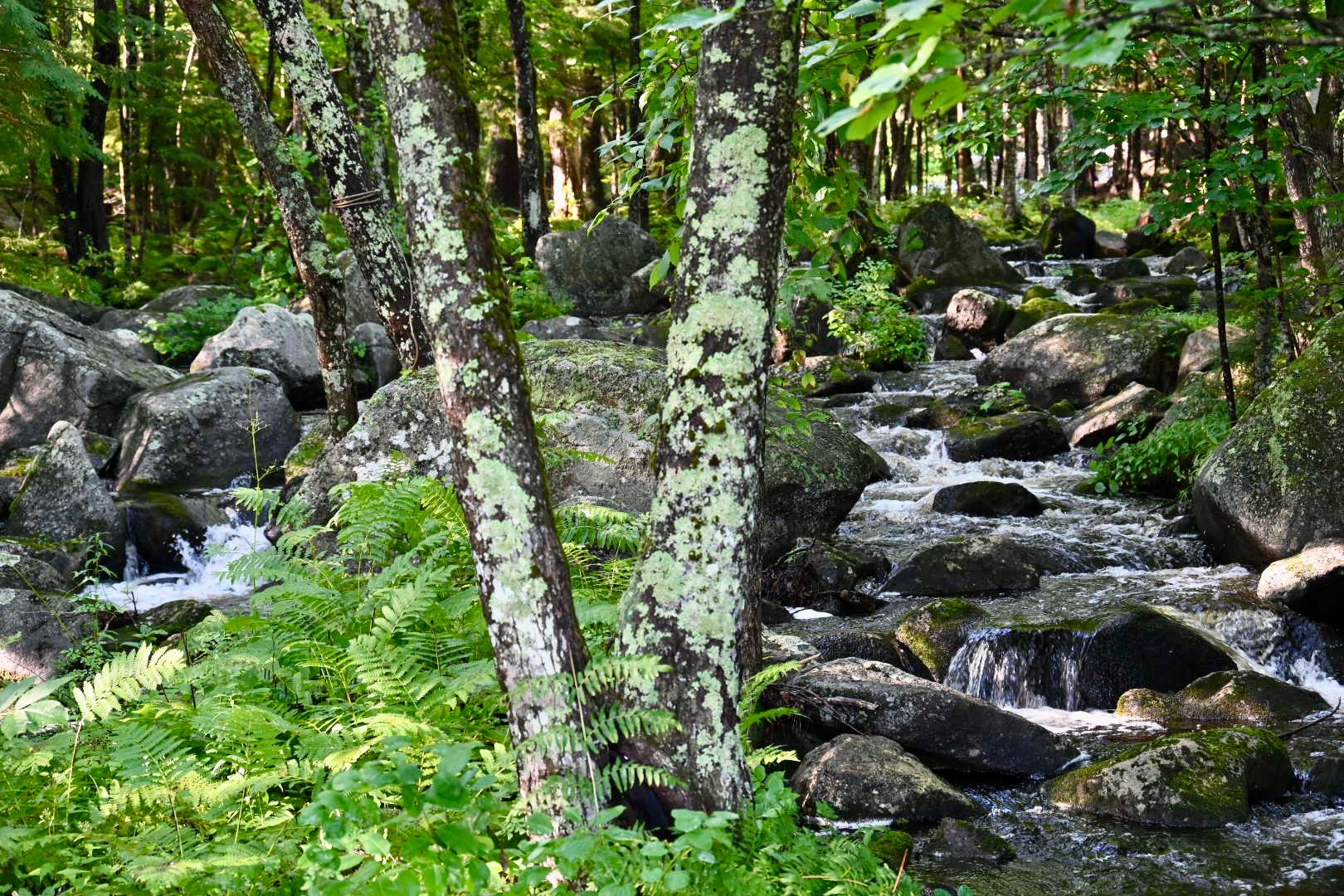 Stonybrook Cascading Waterfalls